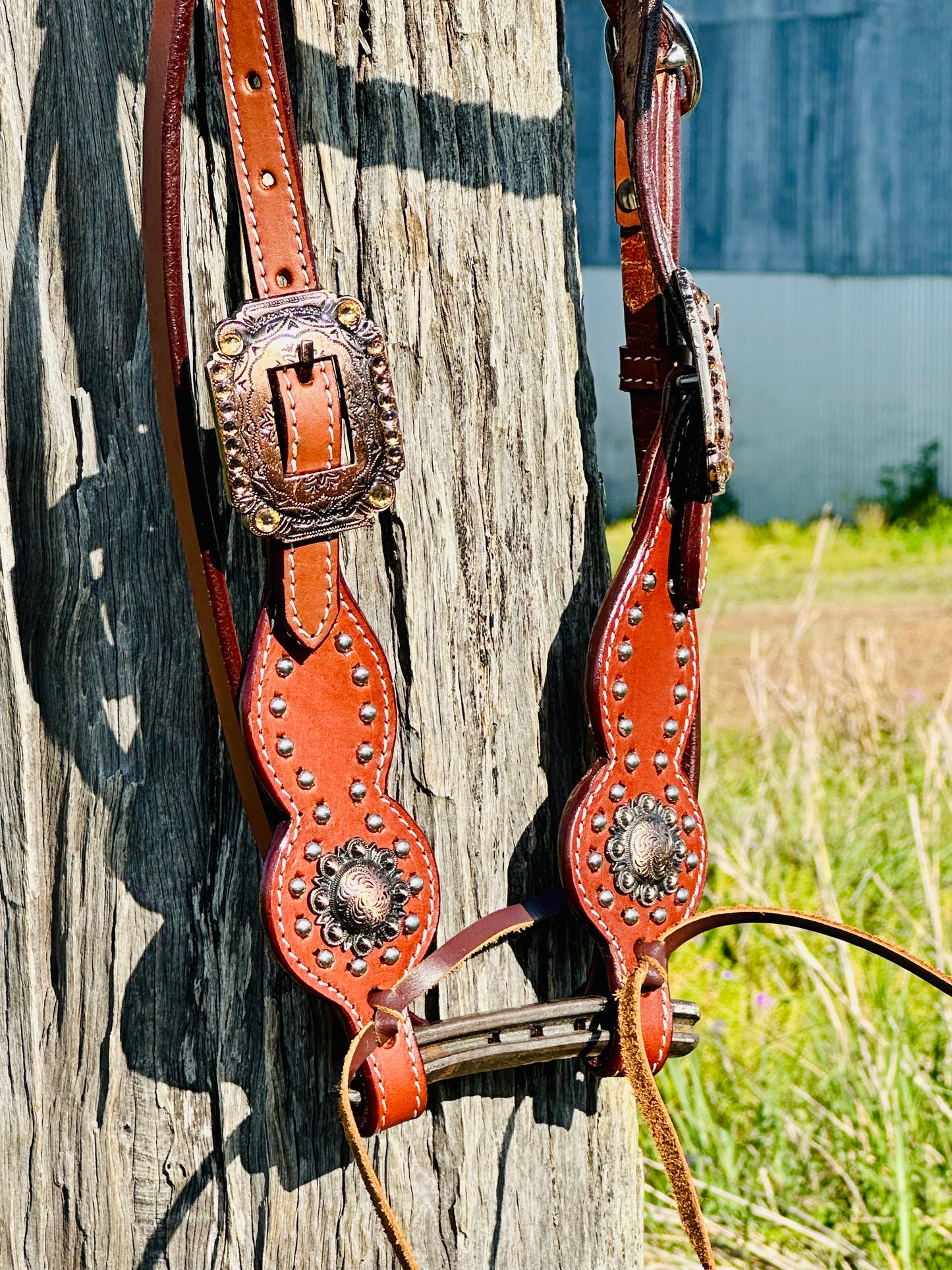 Dustybutts Leather Browband Bridle With Turquoise Buckstitch - Medium Oil