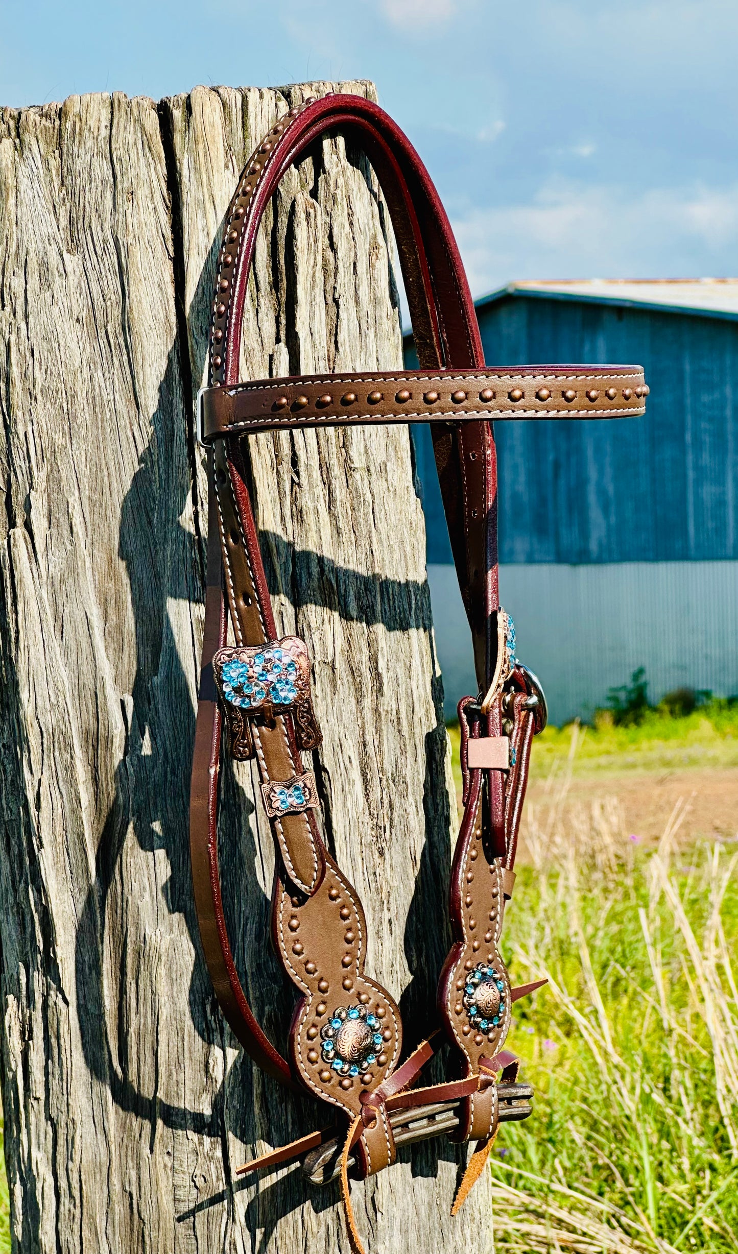 Dustybutts Leather Browband Bridle With Turquoise Buckstitch - Dark Oil