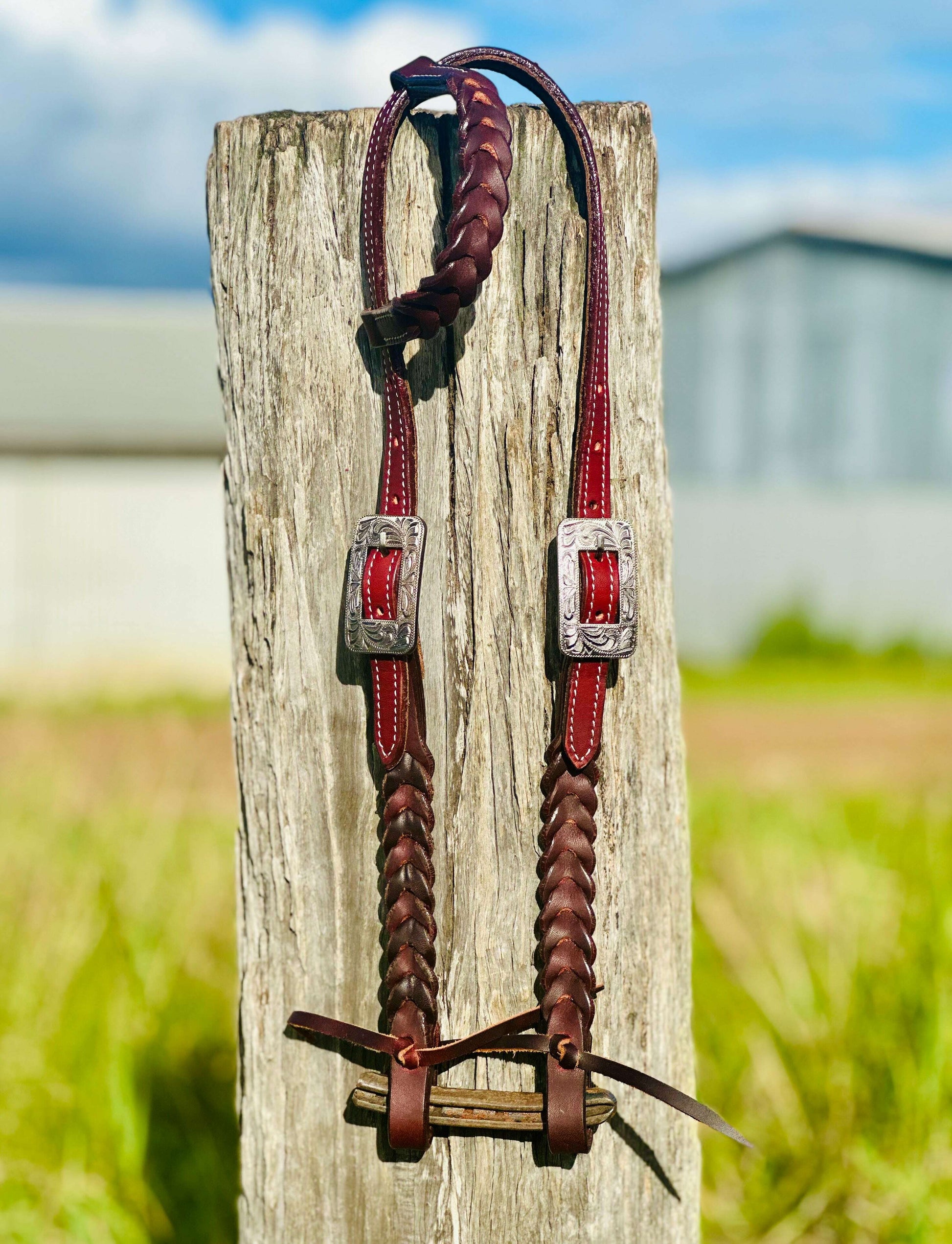 harness-leather-plaited-one-eared-bridle-engraved-stainless-steel-buckle-bridles---dustybutts-australia-35929619