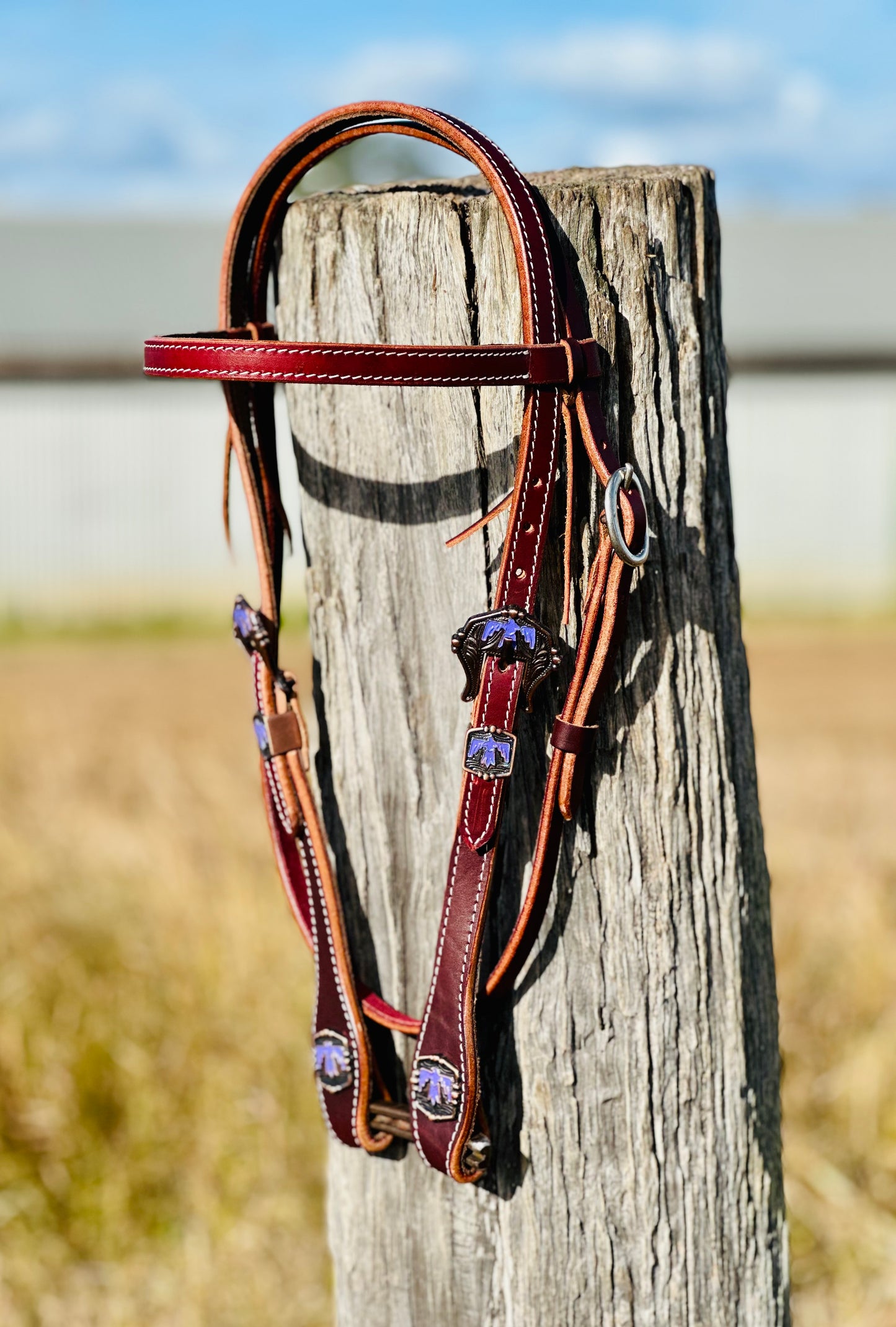 Dustybutts Browband Bridle With Thunderbird Buckle Design