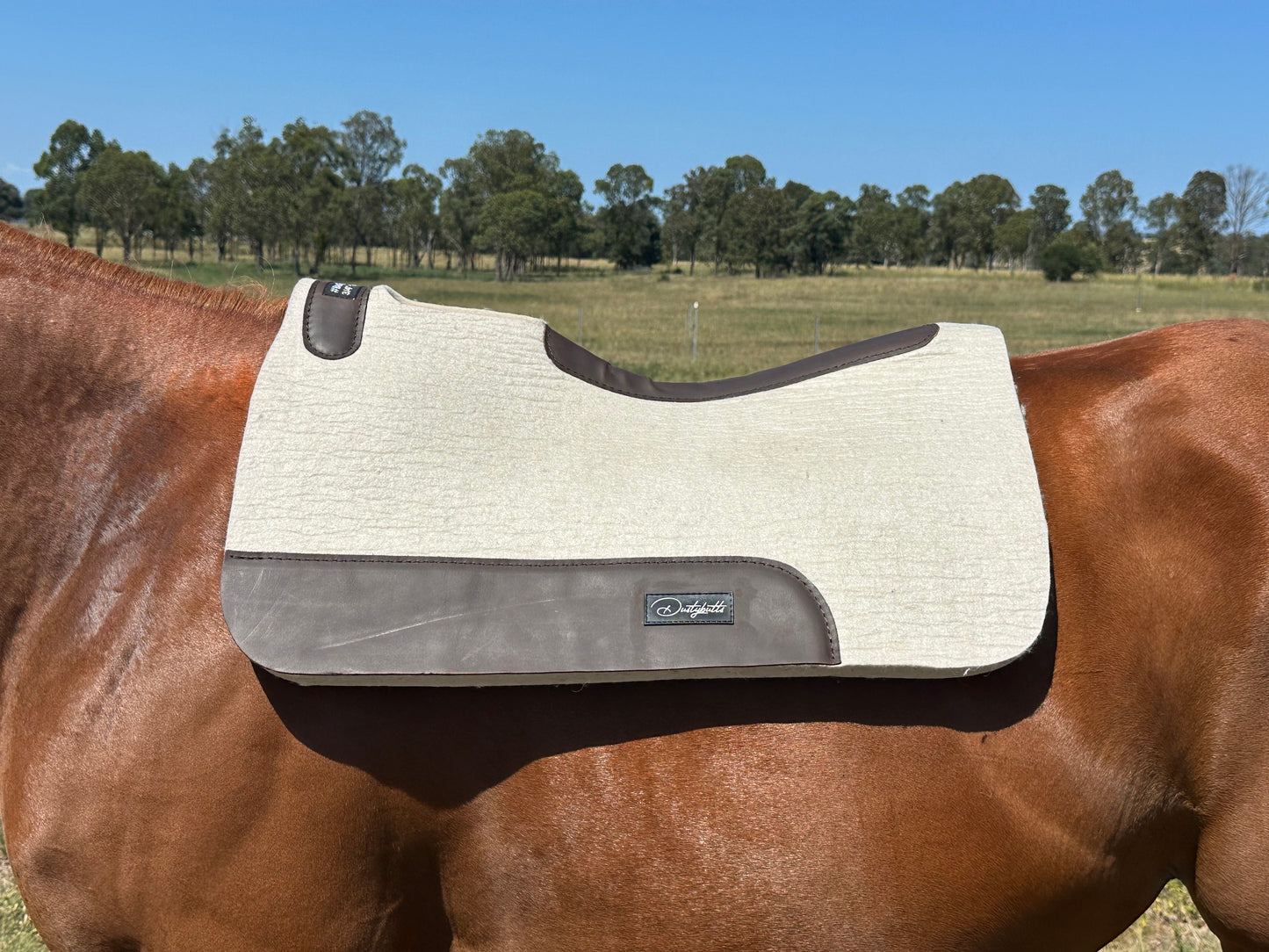 Dustybutts 100% Steam Pressed New Zealand Merino  Wool Saddlepad // Cream