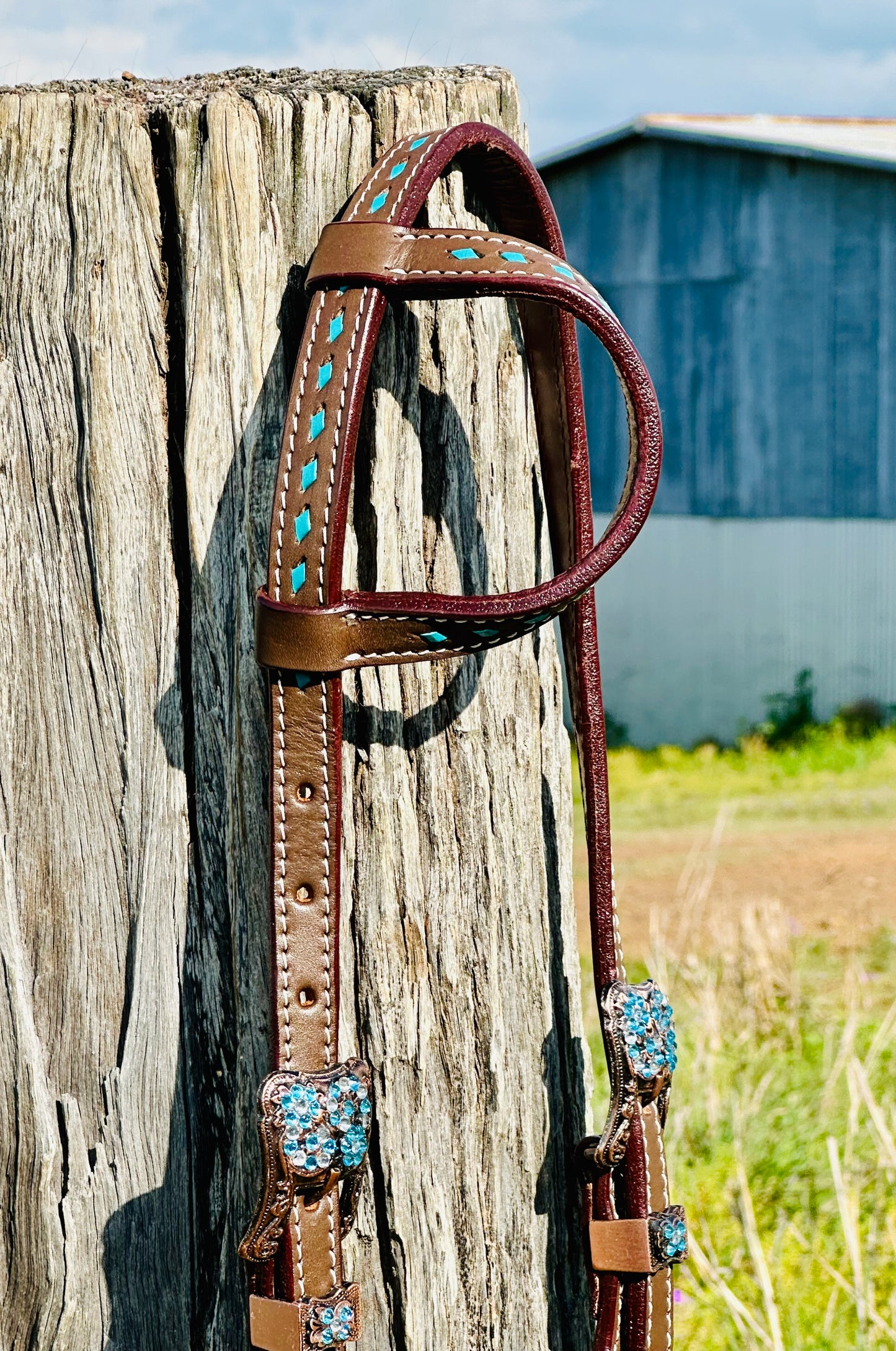 Dustybutts Leather One Eared Bridle With Turquoise Buckstitch - Dark Oil