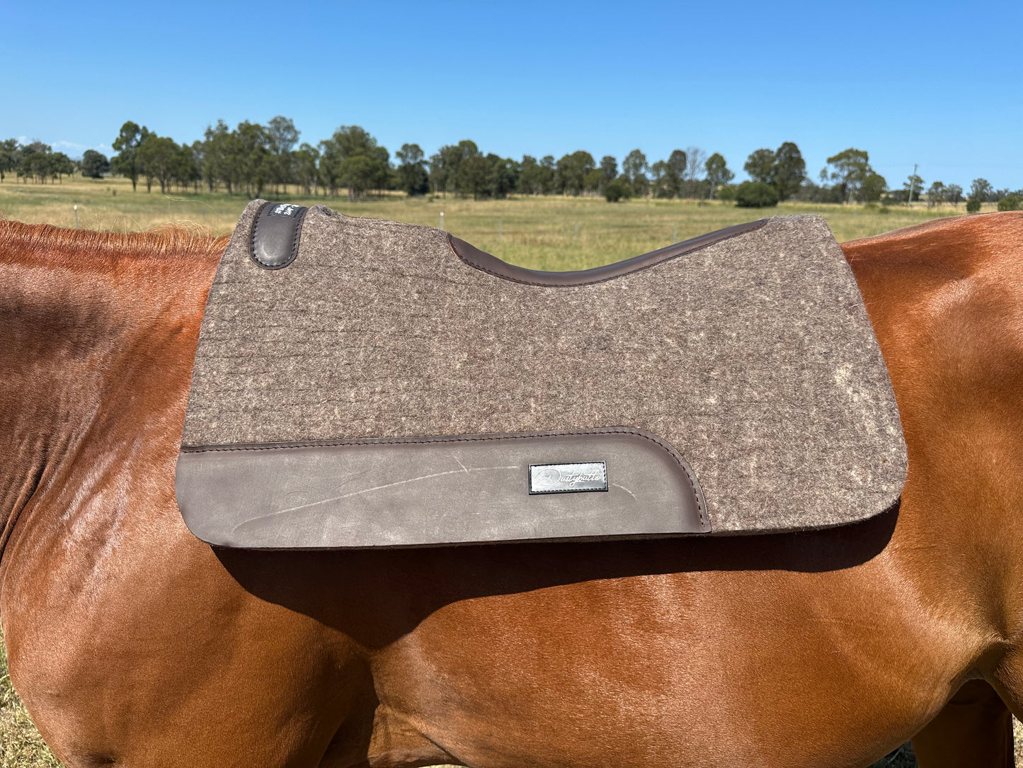 Dustybutts 100% Steam Pressed New Zealand Merino Wool Saddlepad // Grey