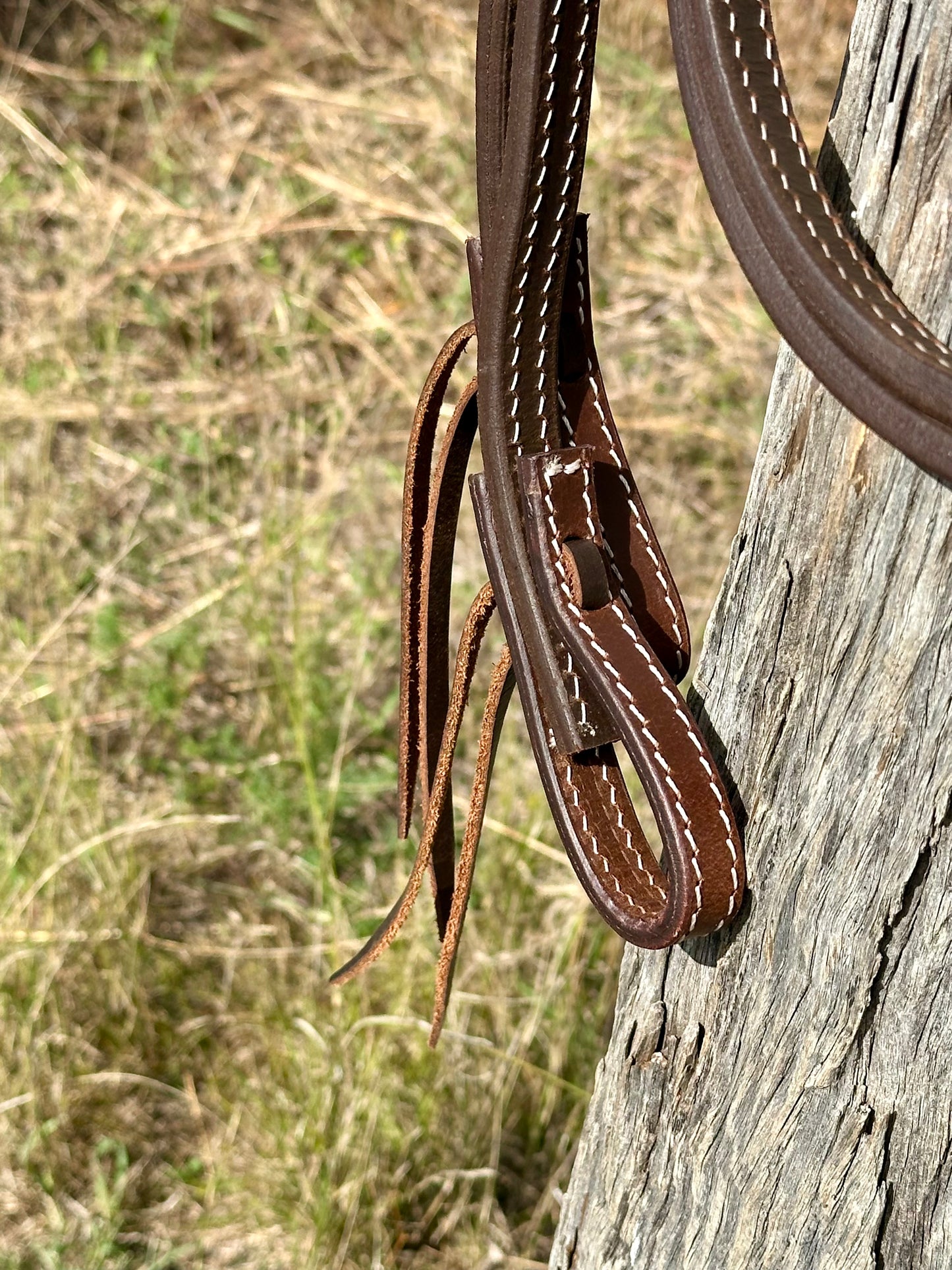 Dustybutts 5/8” Oiled Harness Leather Split Reins // 6 Foot