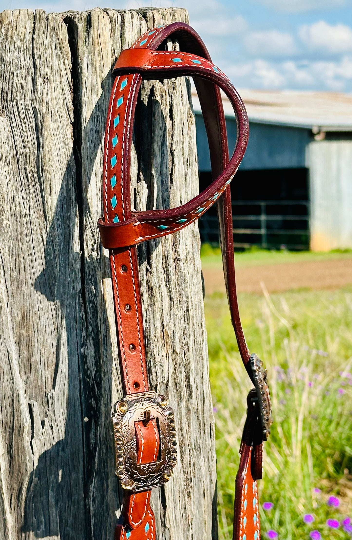 Dustybutts Leather One Eared Bridle With Turquoise Buckstitch - Medium Oil