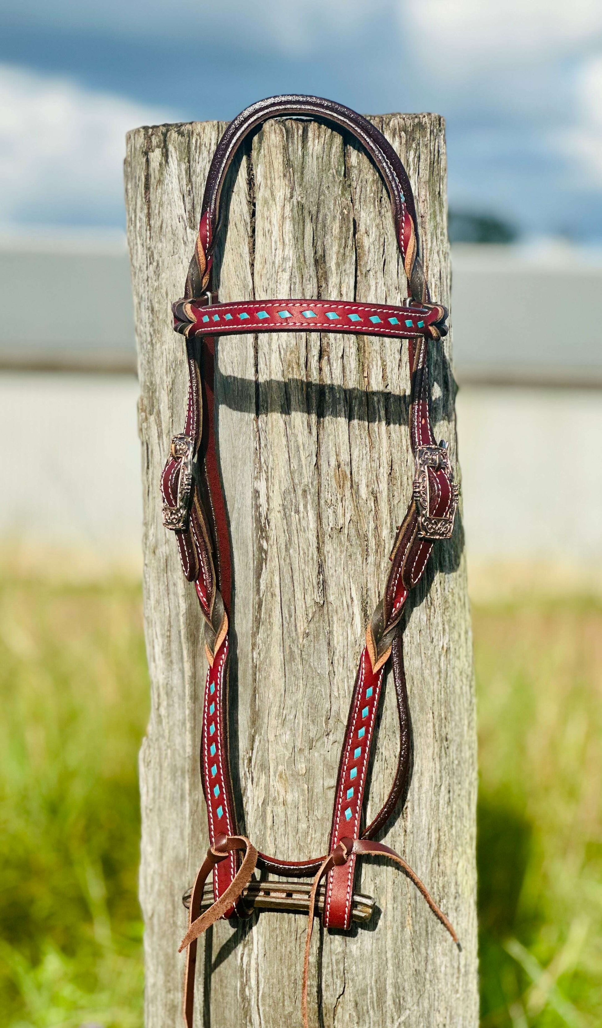 harness-leather-buckstitch-and-bloodknot-browband-bridle---blue-bridles---dustybutts-australia-35929623