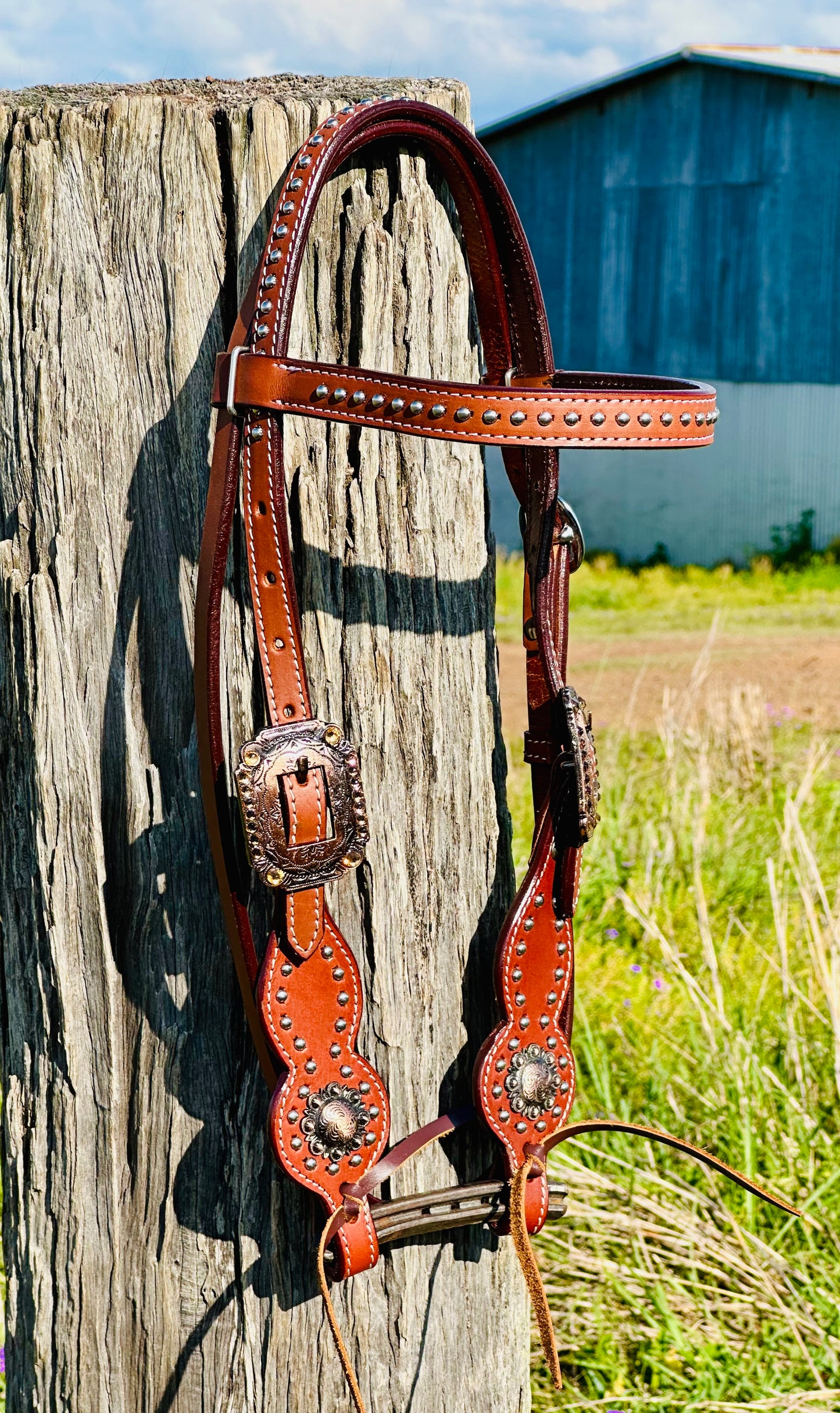 Dustybutts Leather Browband Bridle With Turquoise Buckstitch - Medium Oil