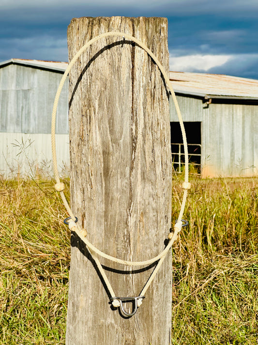 Rope Headsetter Tiedown With Rawhide Stoppers