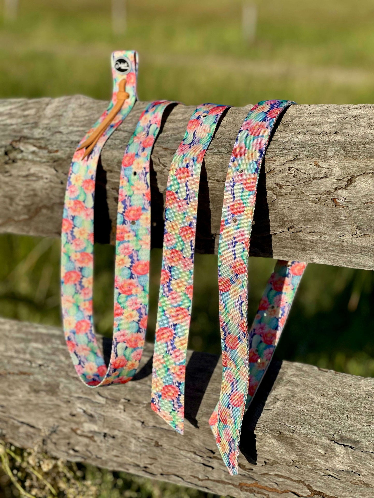 dustybutts-nylon-tie-strap-and-off-billet-set---cactus-bliss-latigos---dustybutts-australia-35929390