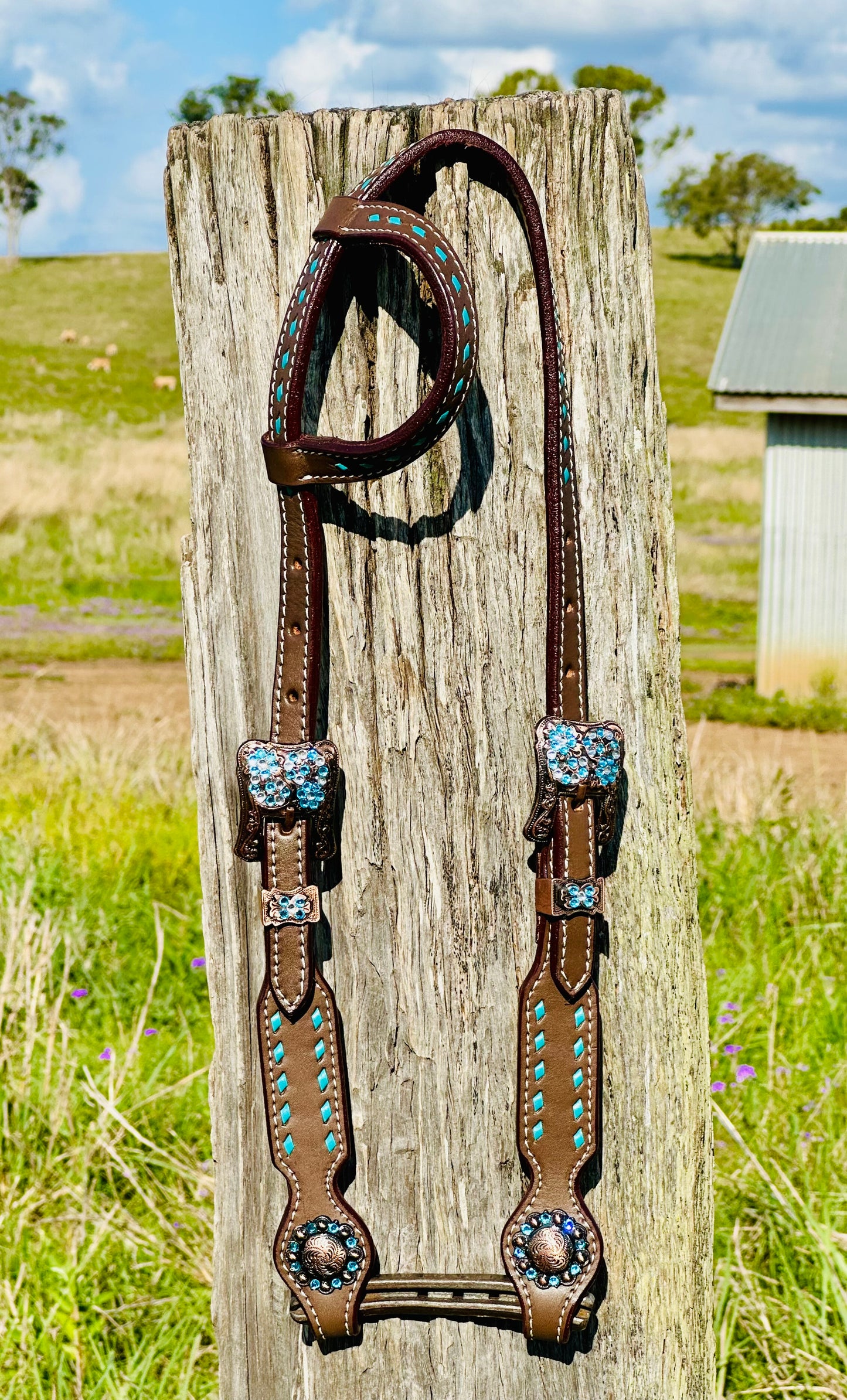 Dustybutts Leather One Eared Bridle With Turquoise Buckstitch - Dark Oil