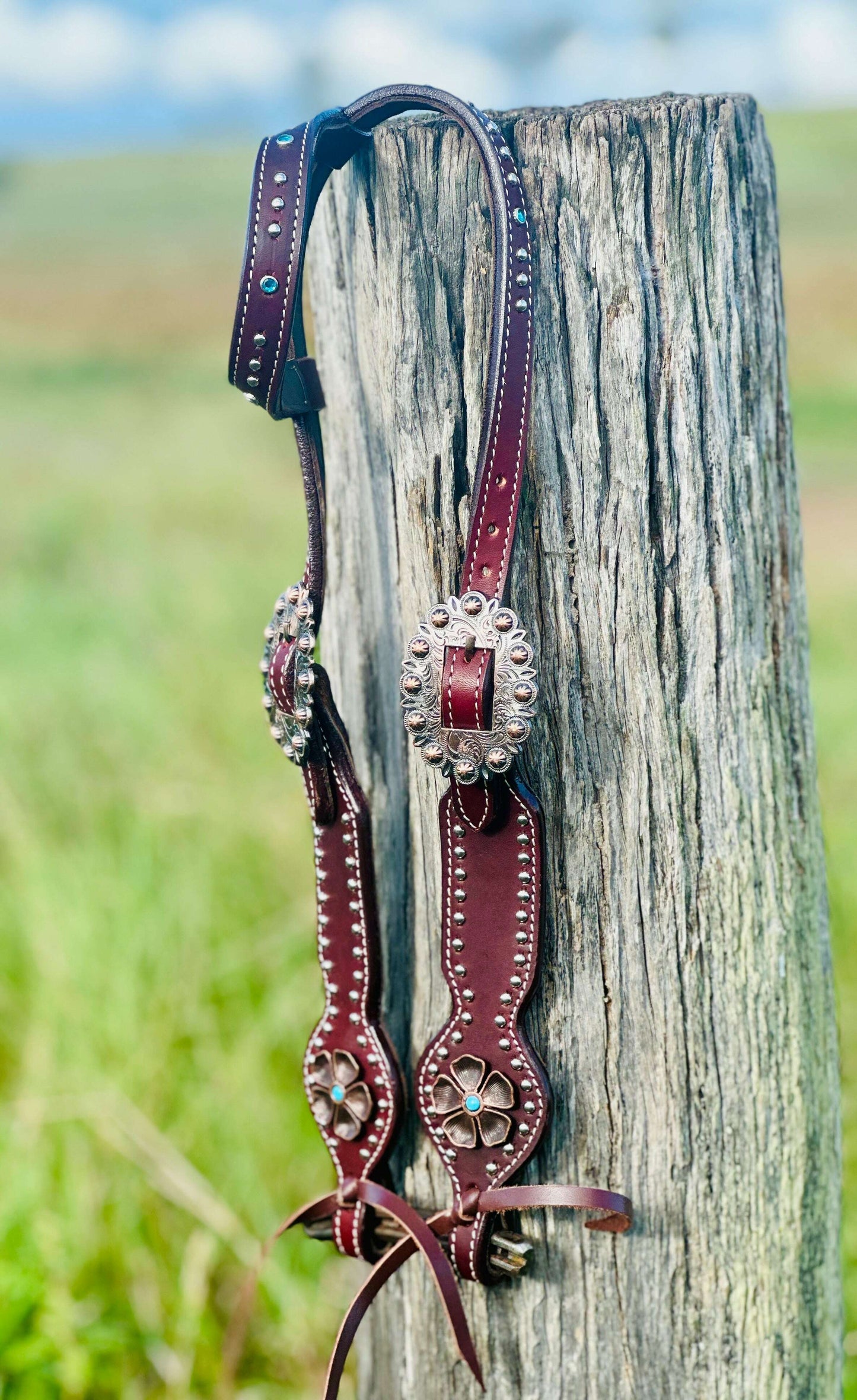 leather-one-eared-bridle-with-studs---dark-oil-bridles---dustybutts-australia-35929633