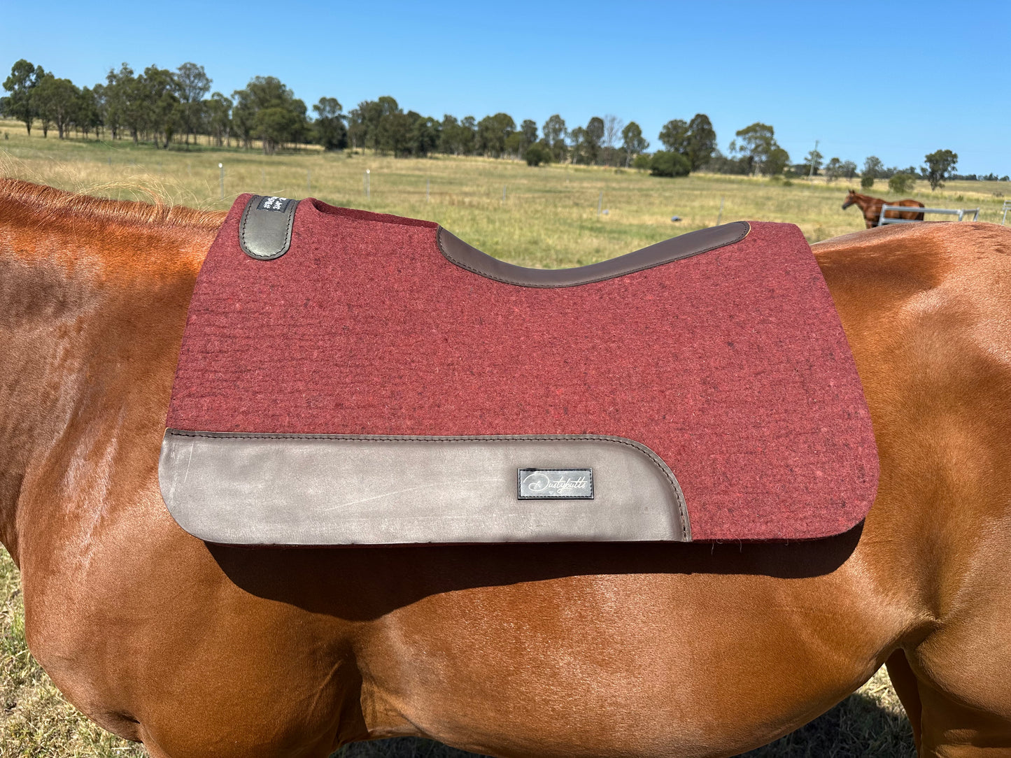 Dustybutts 100% Steam Pressed New Zealand Merino  Wool Saddlepad // Plum