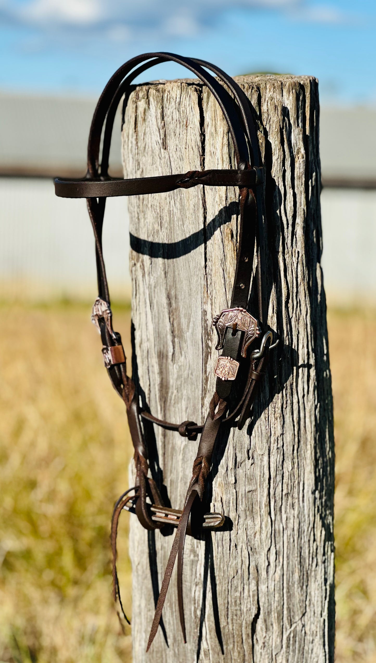 Harness Leather Bloodknot Browband Bridle With Thunderbird Buckle