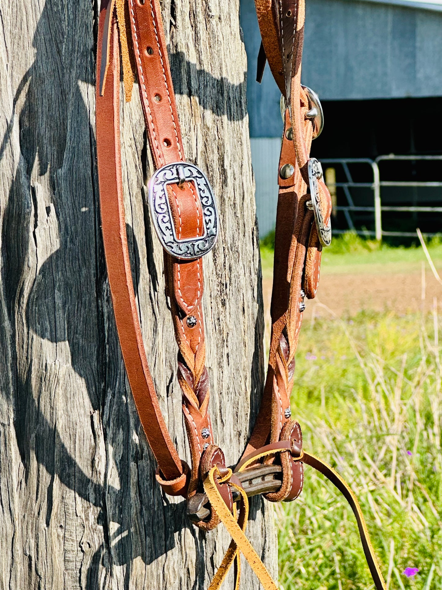 Dustybutts Bloodknot Harness Leather Bridle With Sunspot Studs - Brown