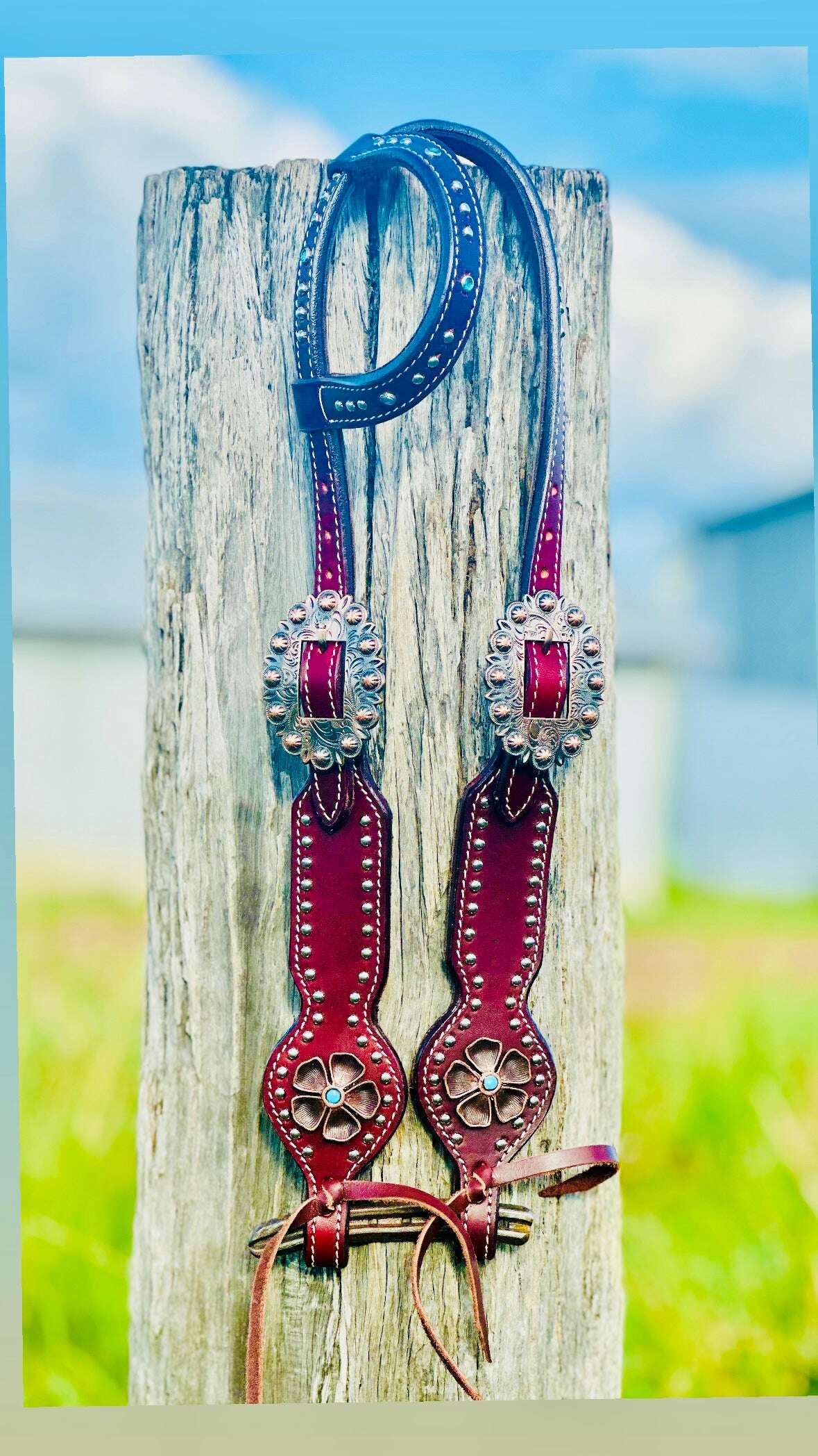 leather-one-eared-bridle-with-studs---dark-oil-bridles---dustybutts-australia-35929632