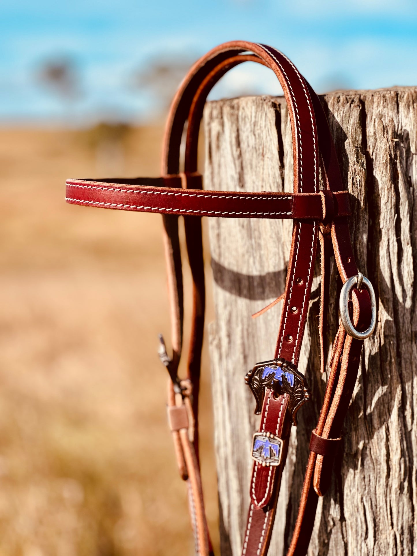Dustybutts Browband Bridle With Thunderbird Buckle Design