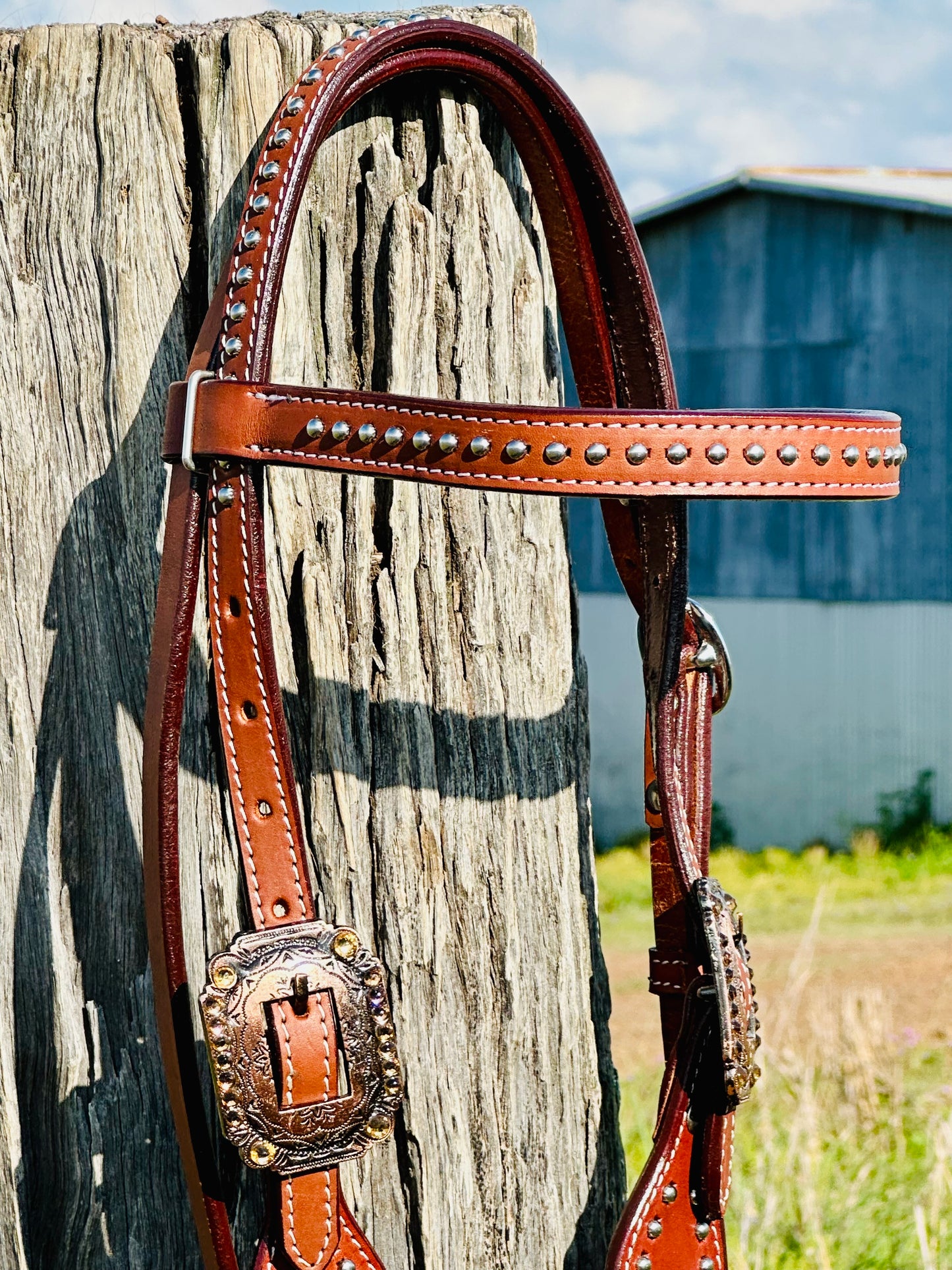 Dustybutts Leather Browband Bridle With Turquoise Buckstitch - Medium Oil