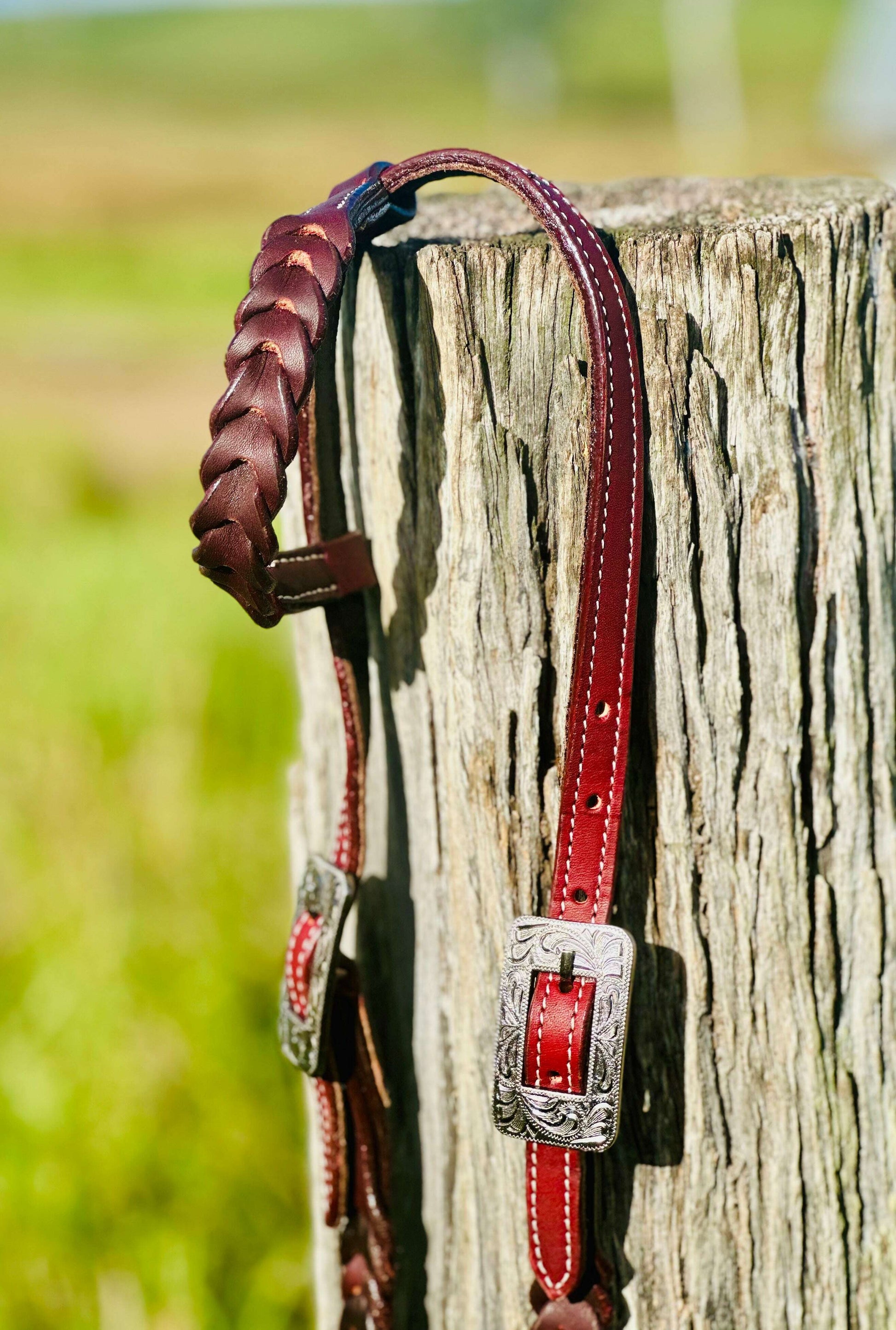 harness-leather-plaited-one-eared-bridle-engraved-stainless-steel-buckle-bridles---dustybutts-australia-35929621