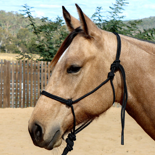 Dustybutts Marine Grade Rope Halter With Matching Lead // Black
