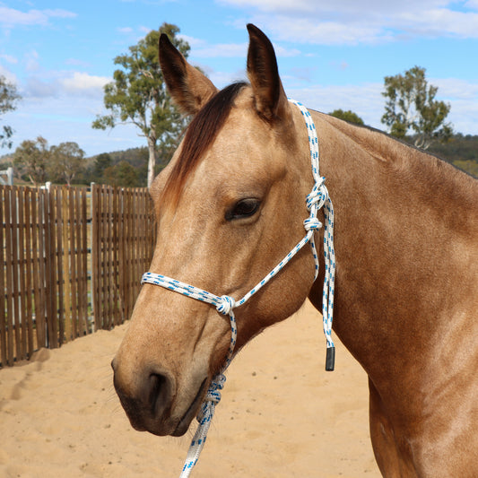 Dustybutts Marine Grade Rope Halter With Matching Lead // White
