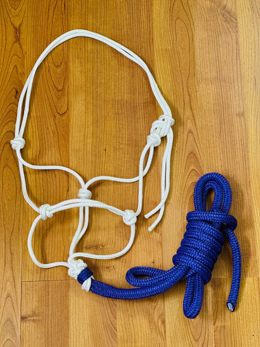 Blue Rope Halter With 12ft Lead - Cob // Full - Dustybutts Australia