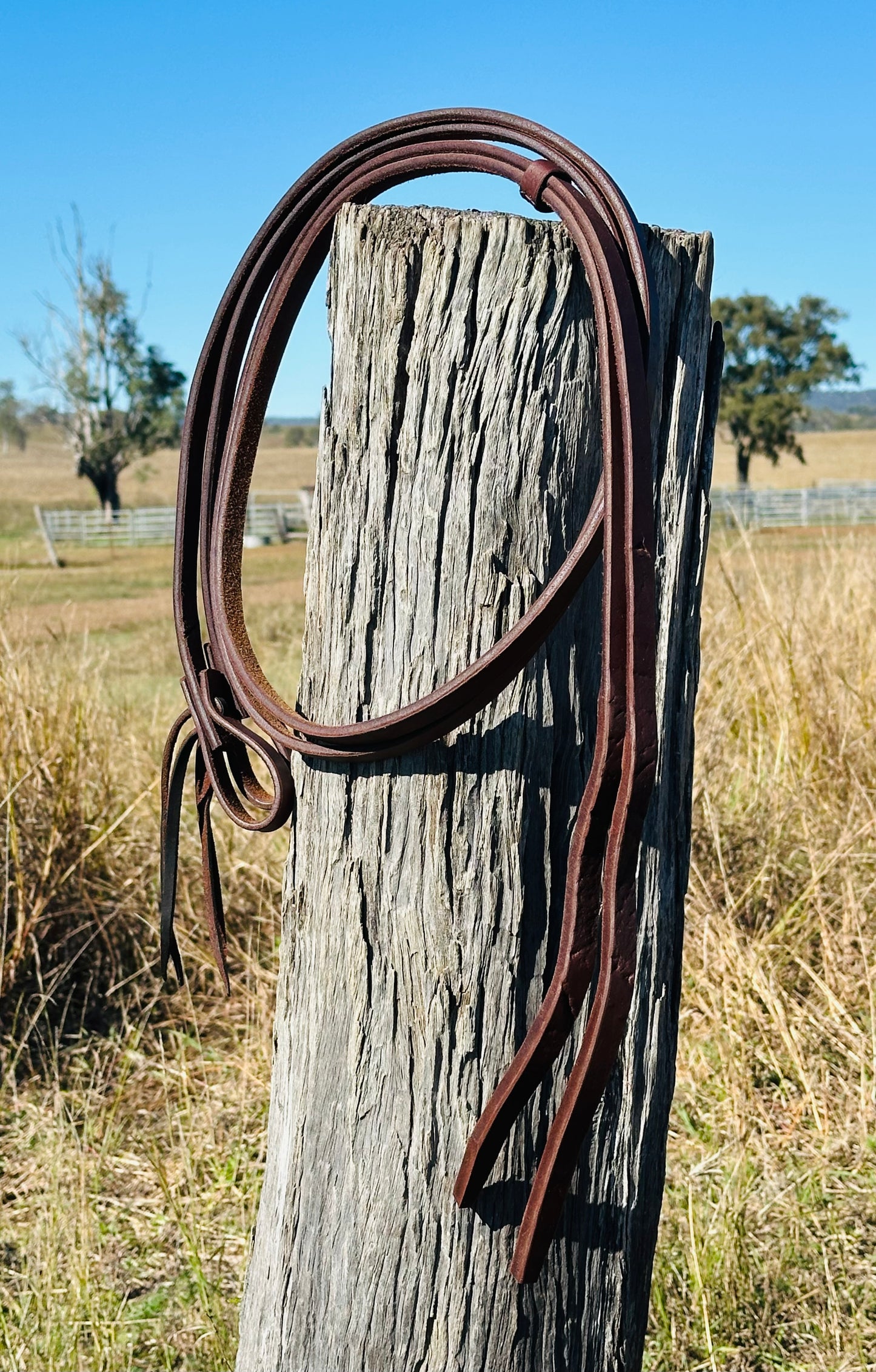 Dustybutts 5/8” Oiled Harness Leather Split Reins // SECONDS