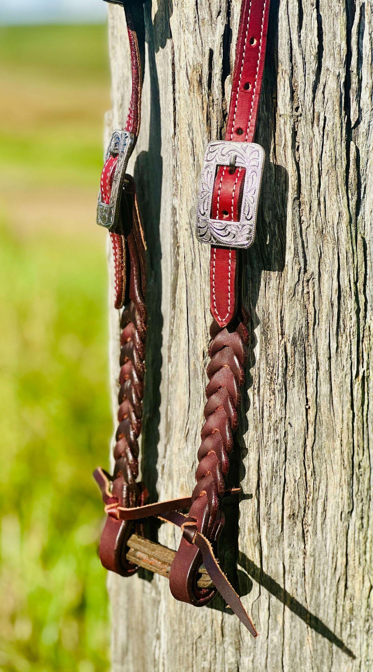 harness-leather-plaited-one-eared-bridle-engraved-stainless-steel-buckle-bridles---dustybutts-australia-35929622