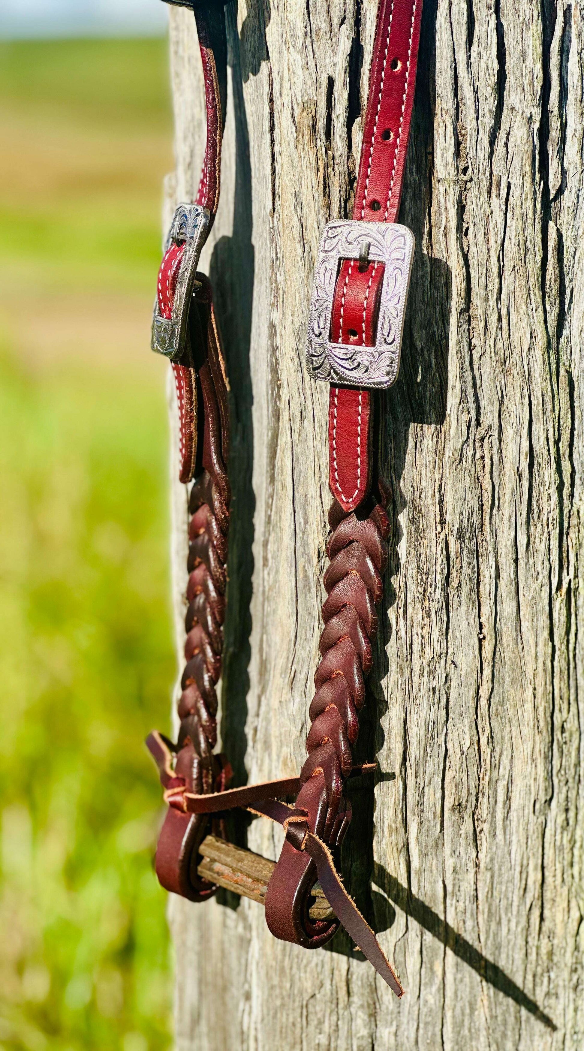harness-leather-plaited-one-eared-bridle-engraved-stainless-steel-buckle-bridles---dustybutts-australia-35929622