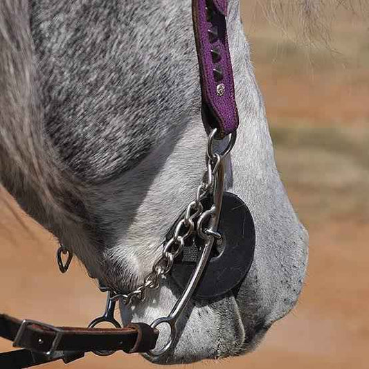 Cashel Black Bit Guard - Dustybutts Australia
