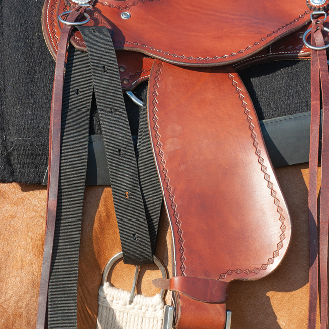 Cashel Nylon Latigo Strap // Brown -  - Dustybutts Australia