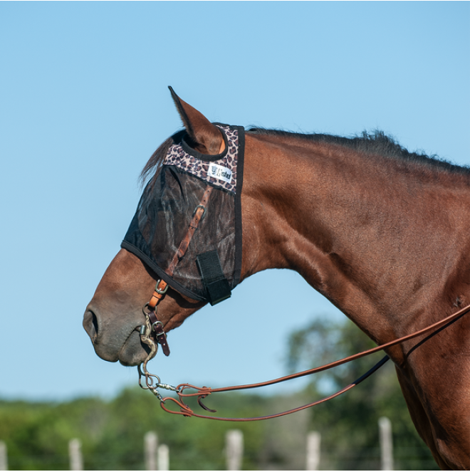 Cashel Quiet Ride Fly Mask // Leopard - Dustybutts Australia