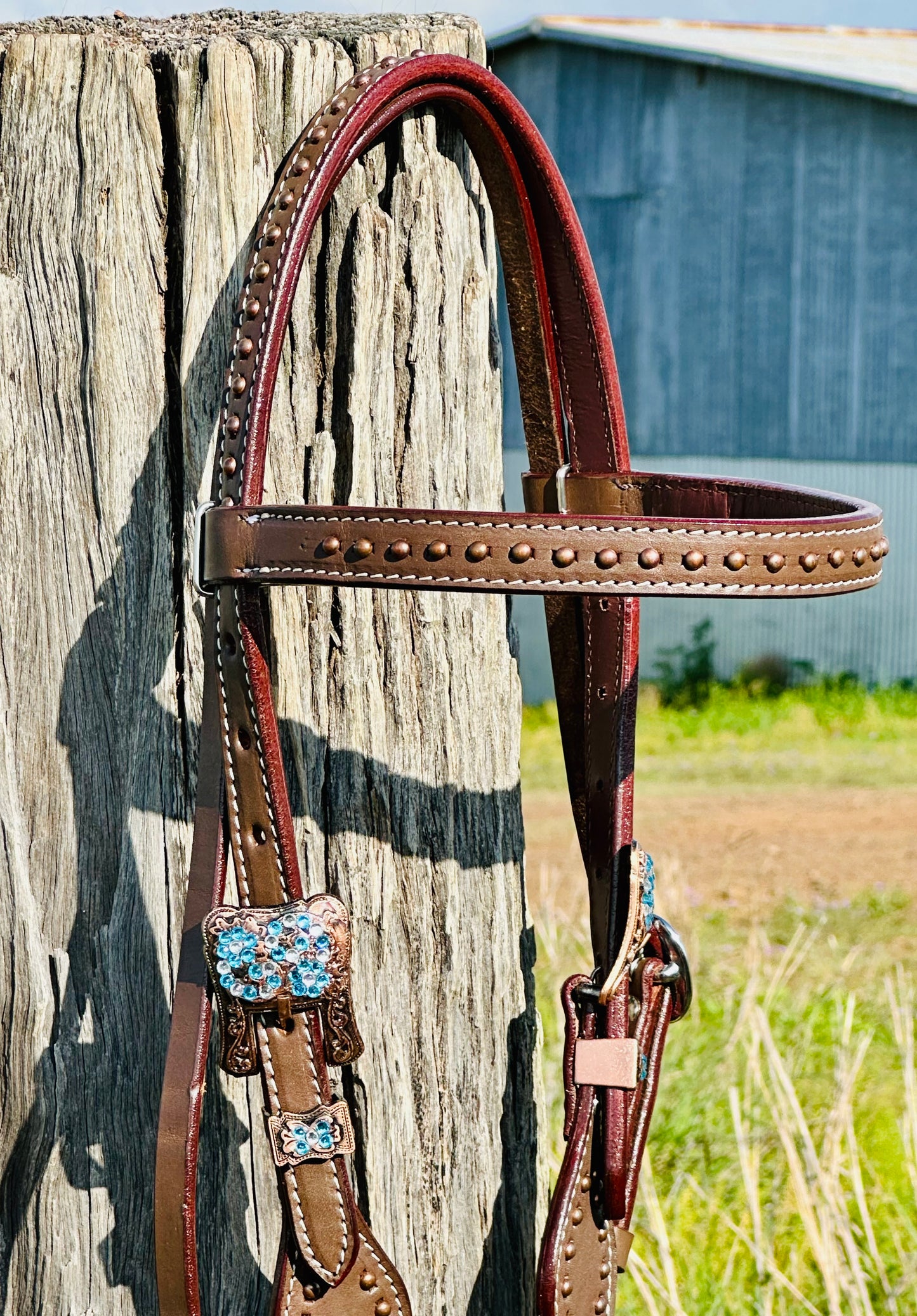 Dustybutts Leather Browband Bridle With Turquoise Buckstitch - Dark Oil