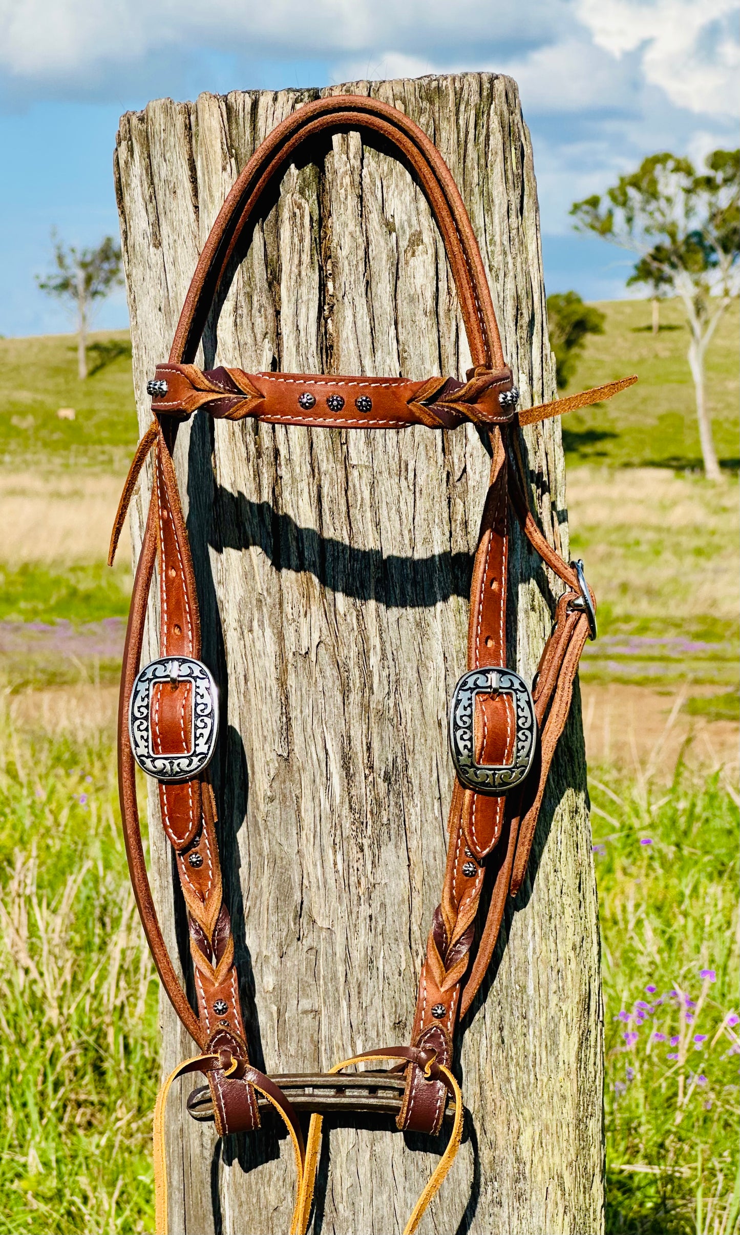 Dustybutts Bloodknot Harness Leather Bridle With Sunspot Studs - Brown