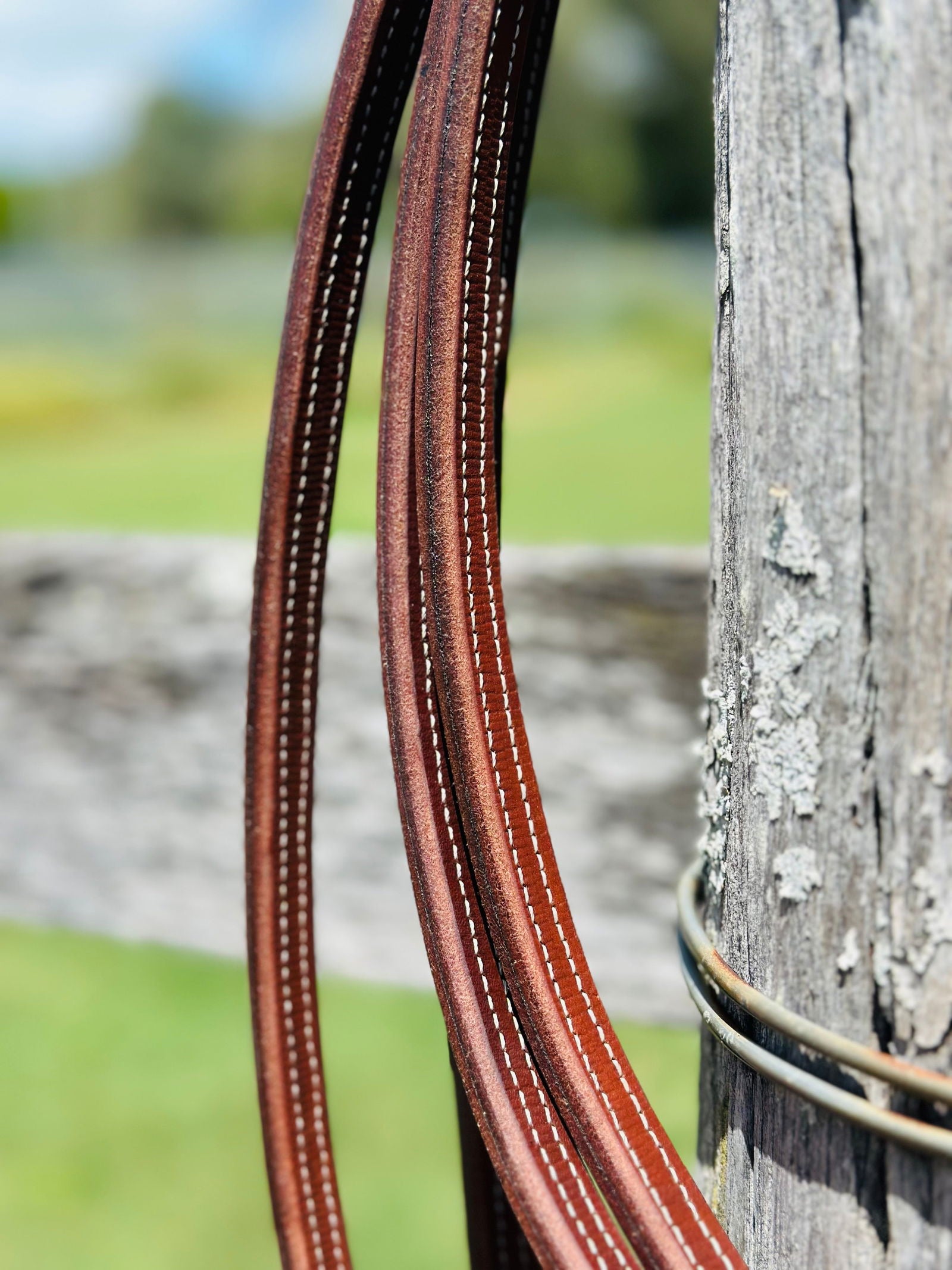 Dustybutts 5/8” Oiled Harness Leather Split Reins // 8 Foot -  - Dustybutts Australia