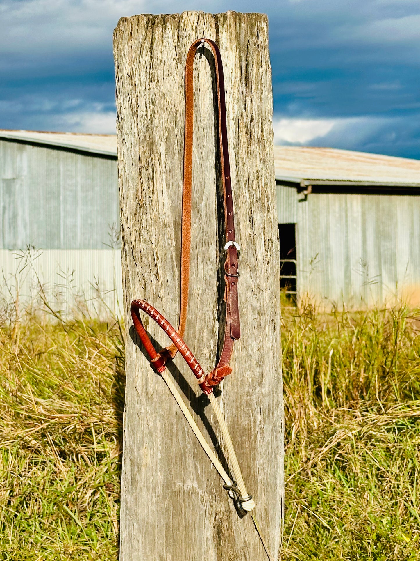 Stitched Argentina Leather Single Rope Noseband Tiedown