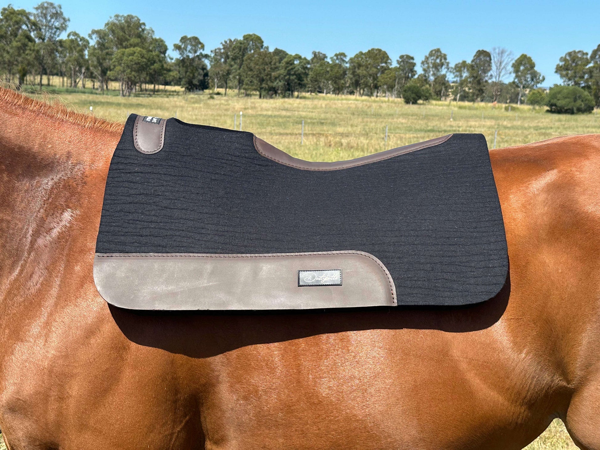 dustybutts-100-steam-pressed-new-zealand-merino-wool-saddlepad-black-saddlepads---dustybutts-australia-35929371