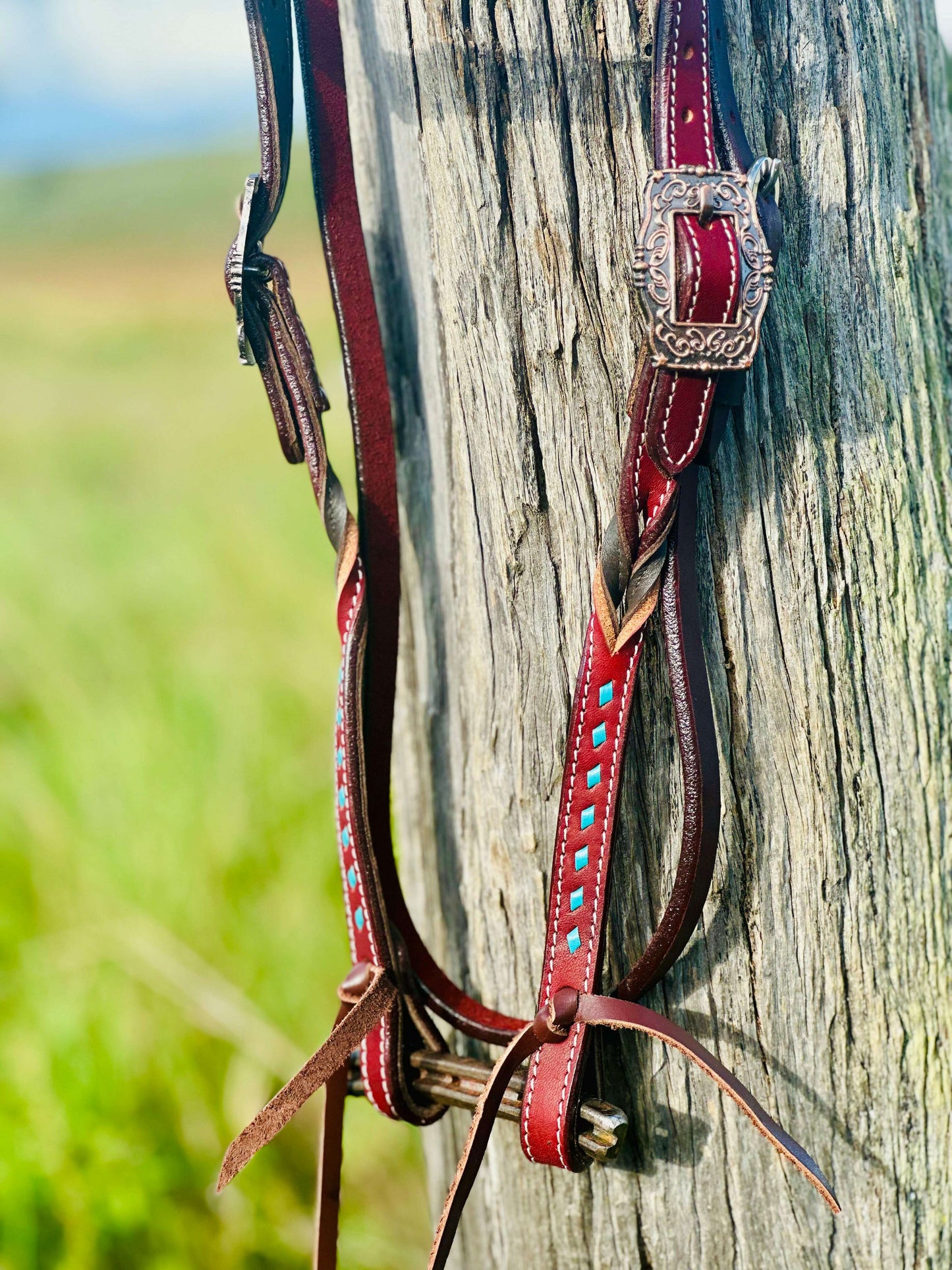 harness-leather-buckstitch-and-bloodknot-browband-bridle---blue-bridles---dustybutts-australia-35929627