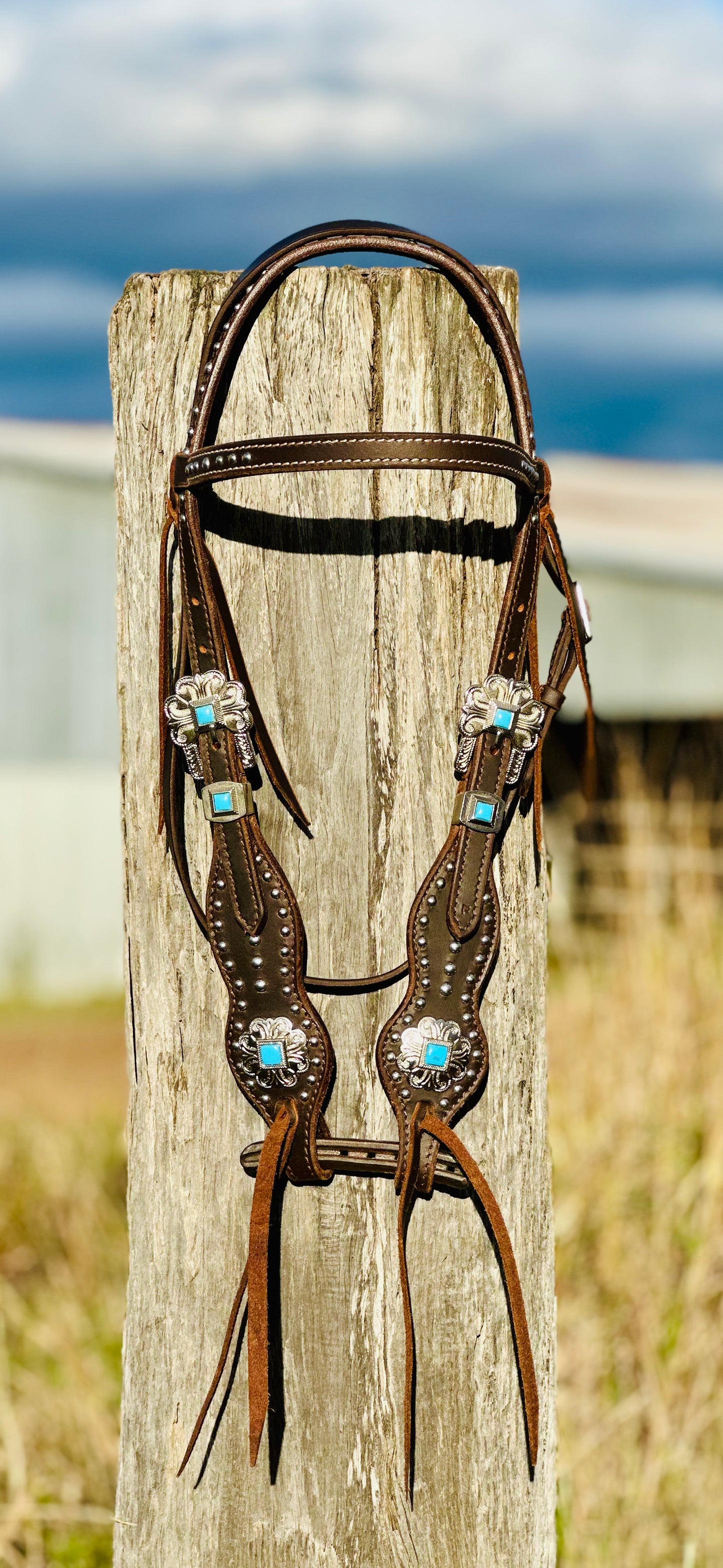 Dustybutts Leather Bridle With Turquoise & Silver Buckles, Conchos & Silver Studs