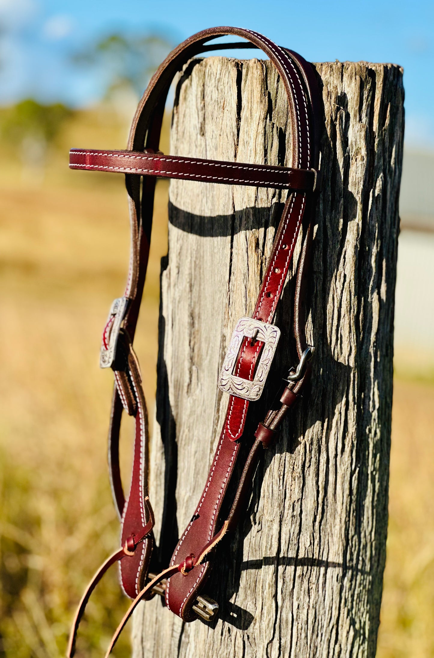 Dustybutts Dark Oil Browband Bridle With Engraved Buckles
