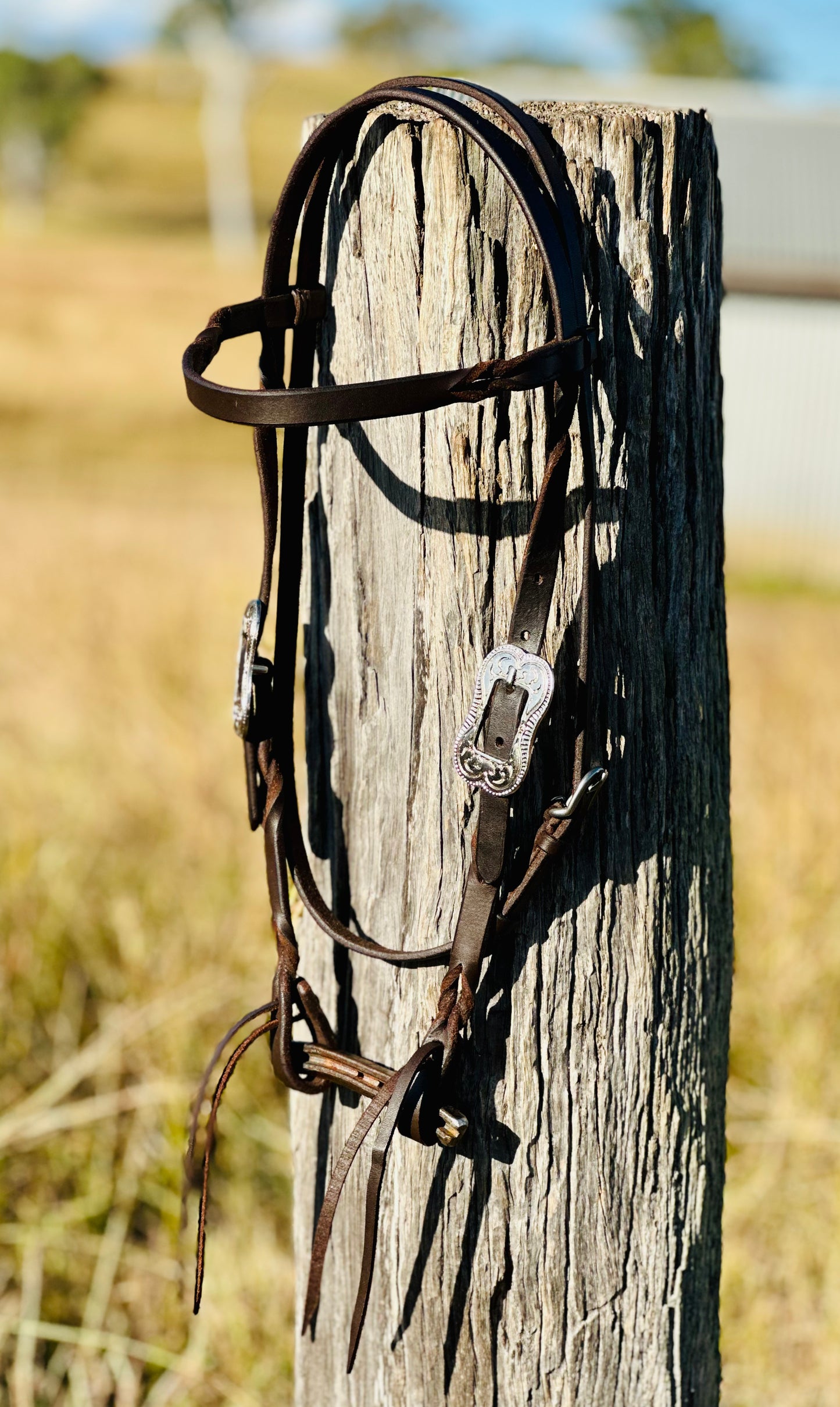 Harness Leather Bloodknot Browband Bridle With Engraved Buckle