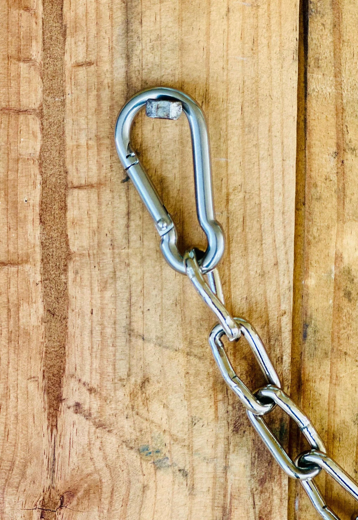 stainless-steel-curb-chain-with-clips-bits---dustybutts-australia-35929770