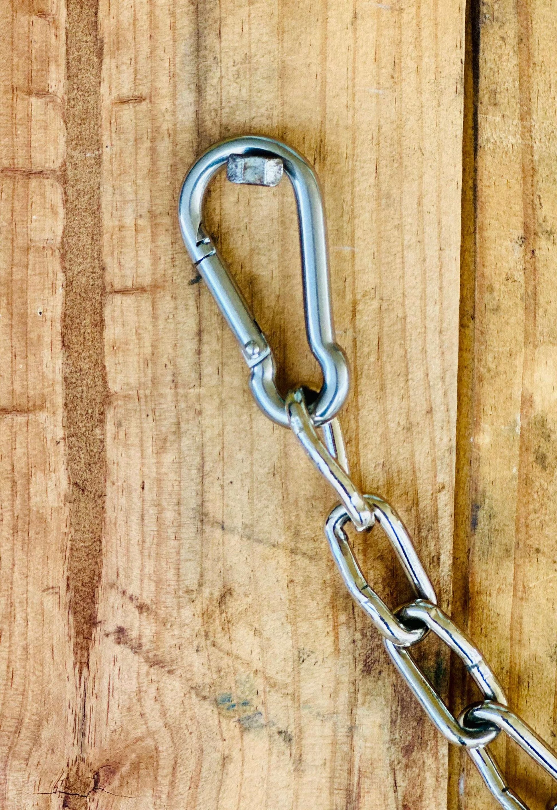 stainless-steel-curb-chain-with-clips-bits---dustybutts-australia-35929770