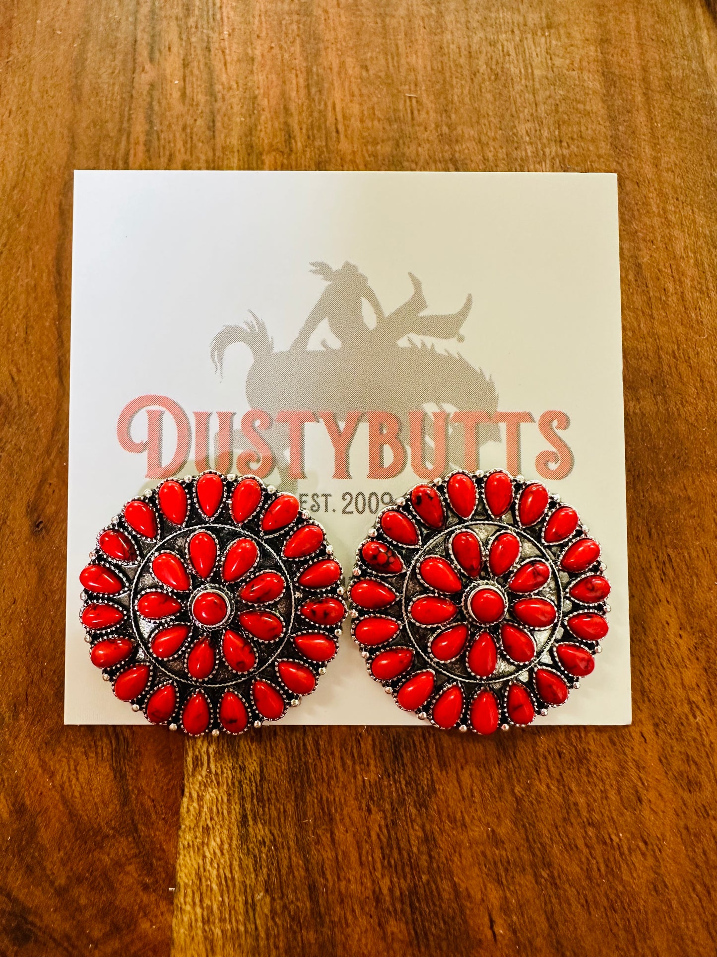 Silver & Red Stone Earrings