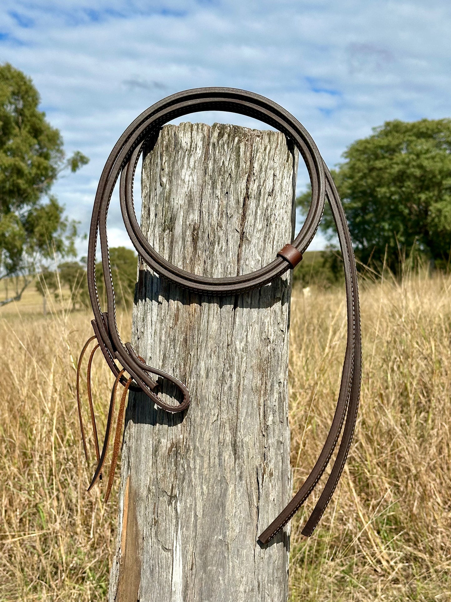 Dustybutts 5/8” Oiled Harness Leather Split Reins // 6 Foot