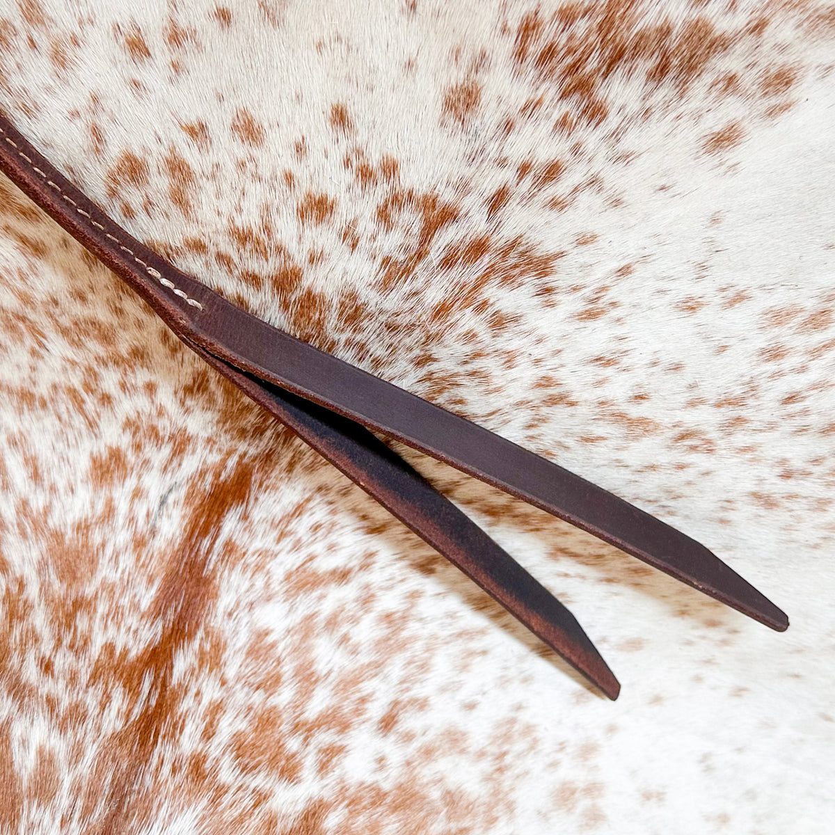 Dustybutts Rolled Harness Braided Leather Quirt / Royal Blue