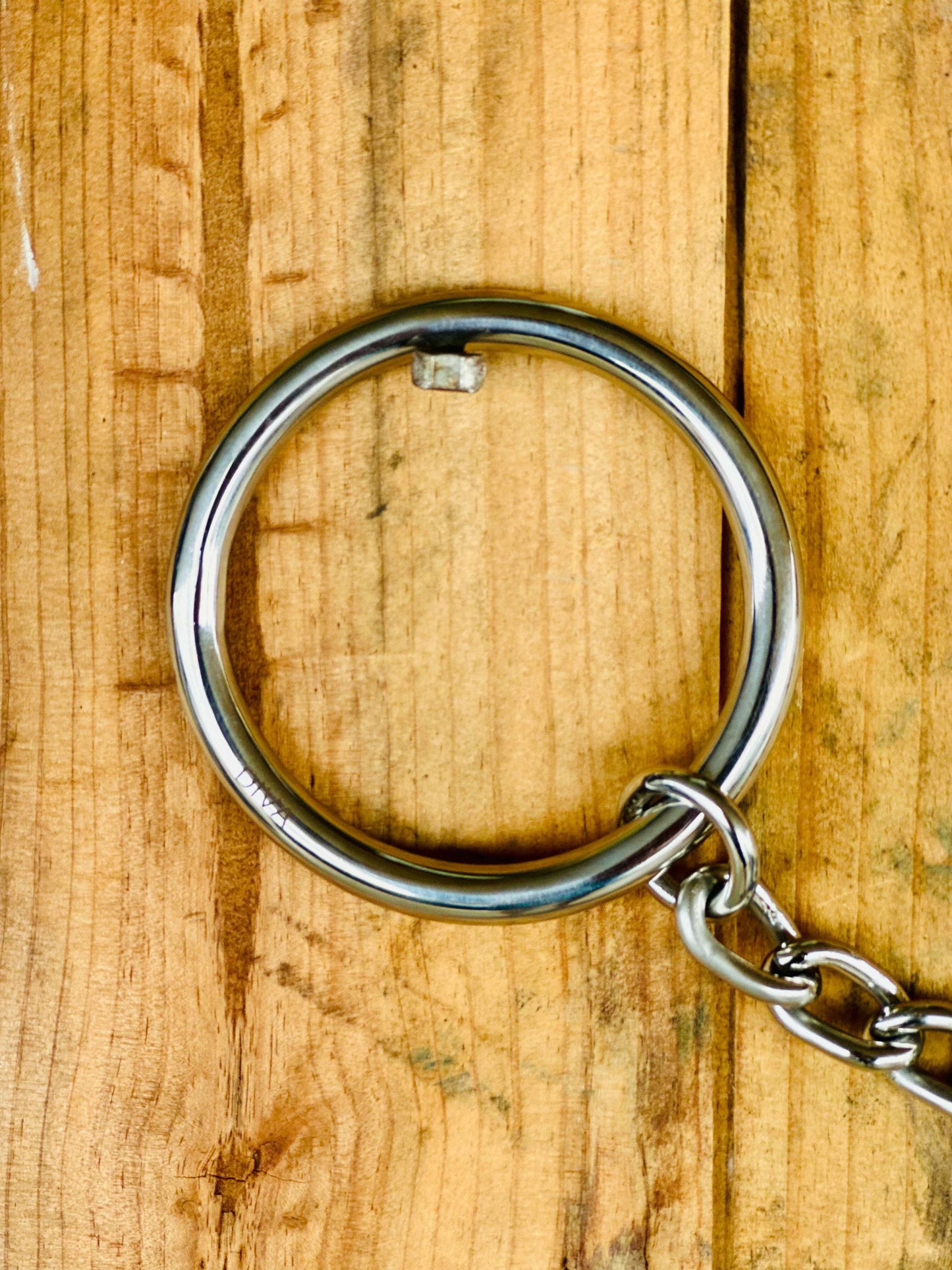 dustybutts-‘diva’-chain-mouthpiece-weighted-snaffle-bit-bits---dustybutts-australia-35929742