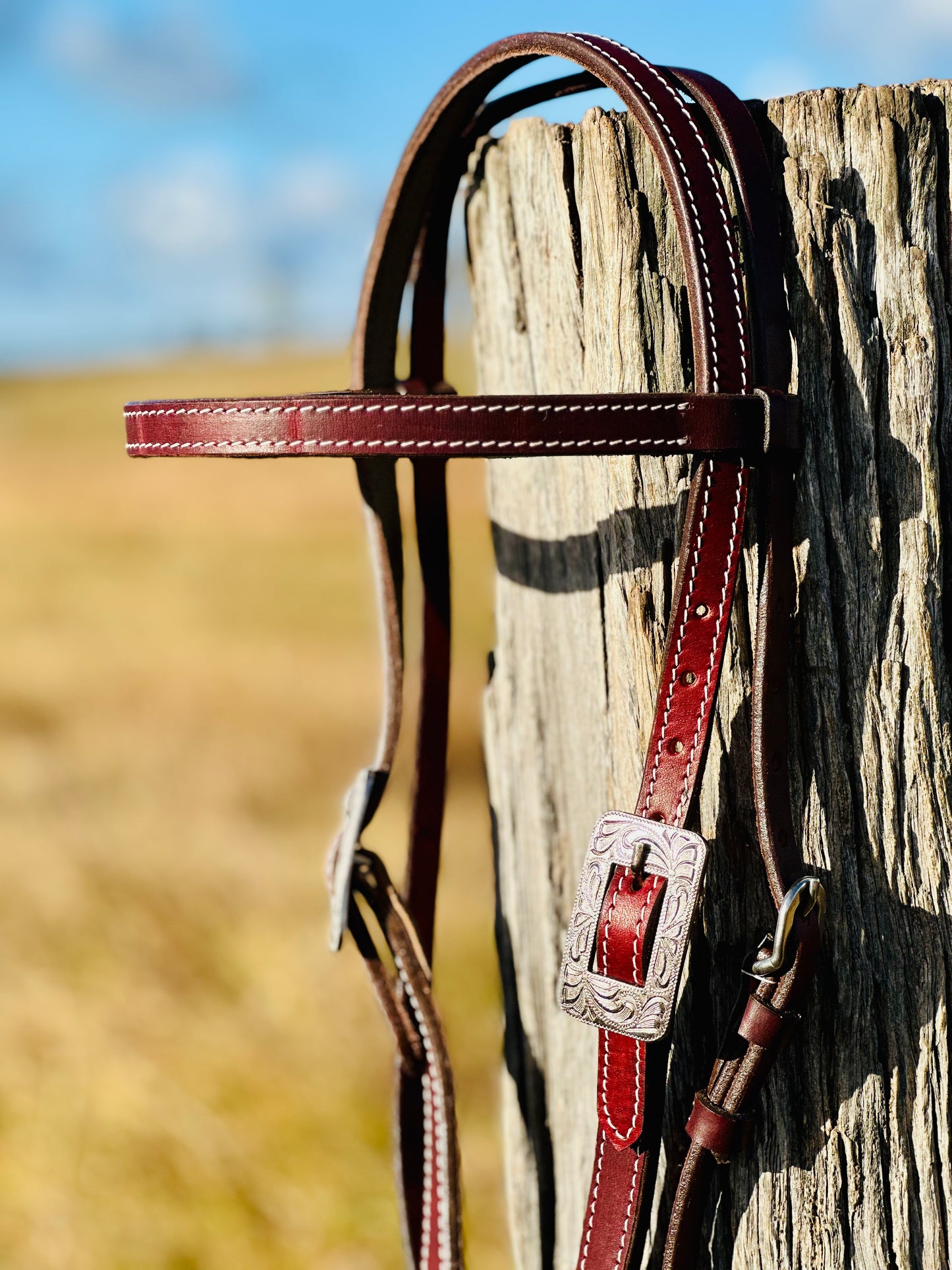 Dustybutts Dark Oil Browband Bridle With Engraved Buckles