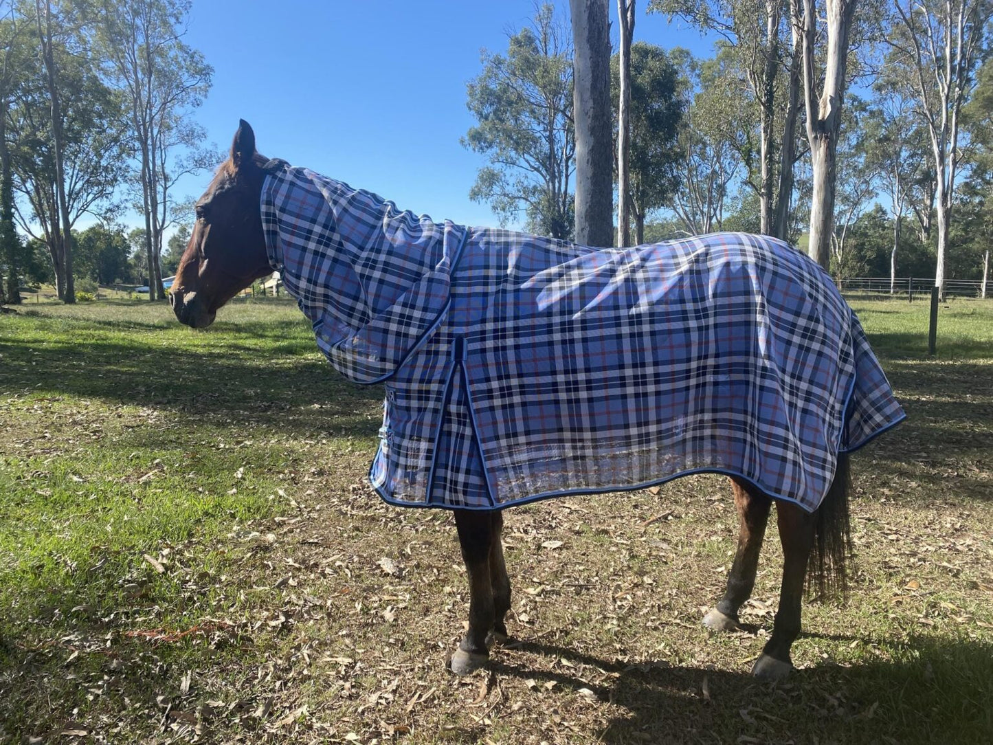 Ruby Rose Blue/ White PVC Shade Mesh Horse Rug Combo