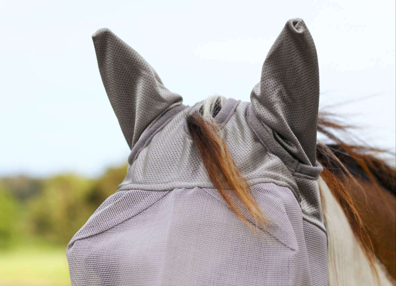 dustybutts-deluxe-fly-mask---standard-with-earstail-bags-fly-masksdustybutts-australia-35085049