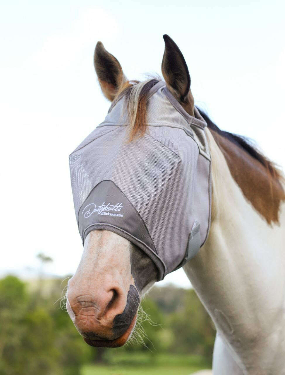 dustybutts-deluxe-fly-mask---standardtail-bags-fly-masksdustybutts-australia-35085039